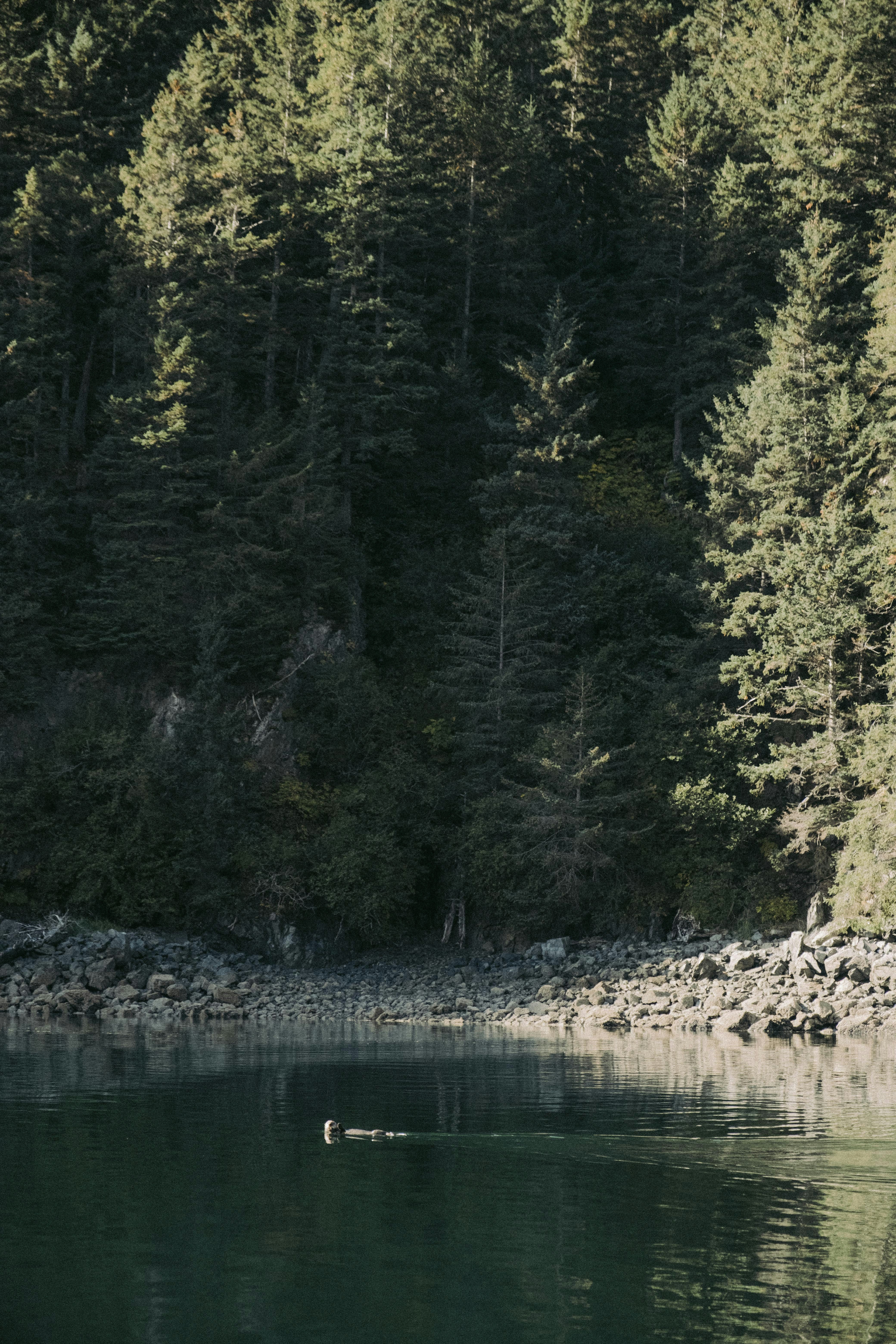 Photo by colinandmeg