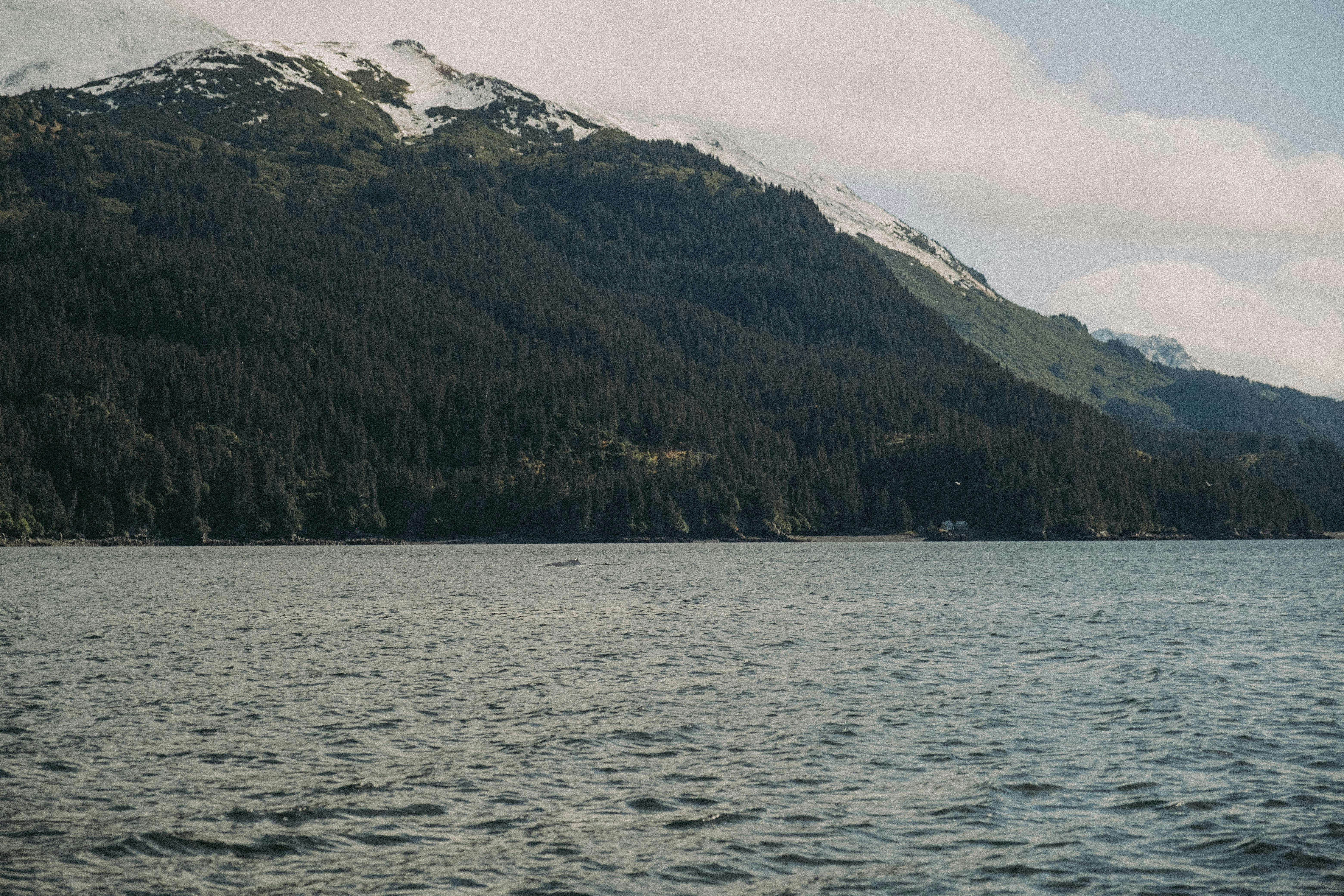 Photo by colinandmeg