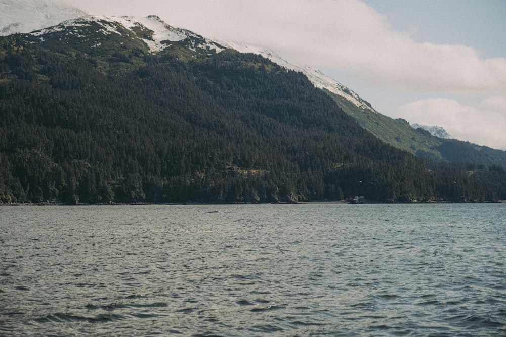 a large body of water with a mountain in the background