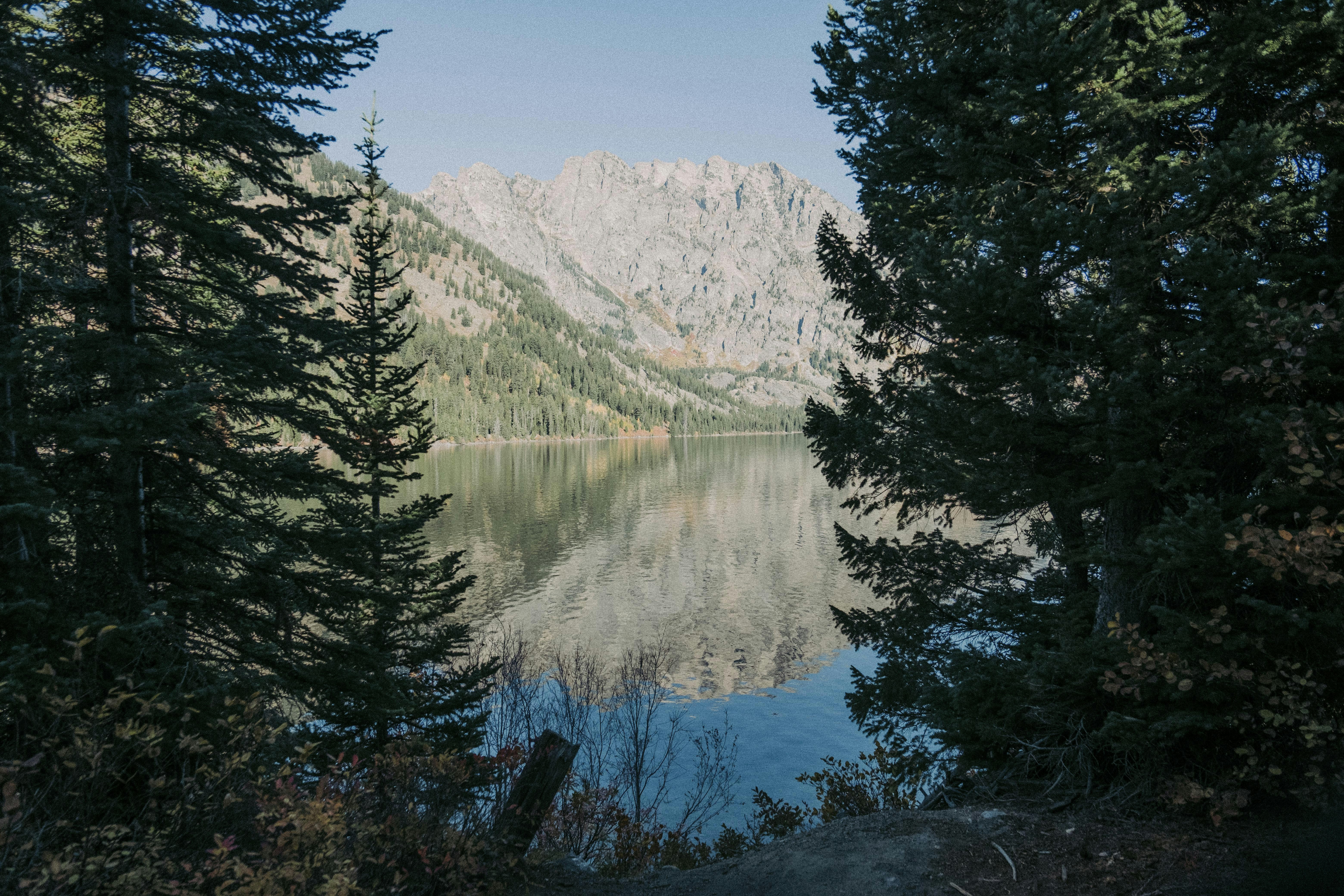 Photo by colinandmeg