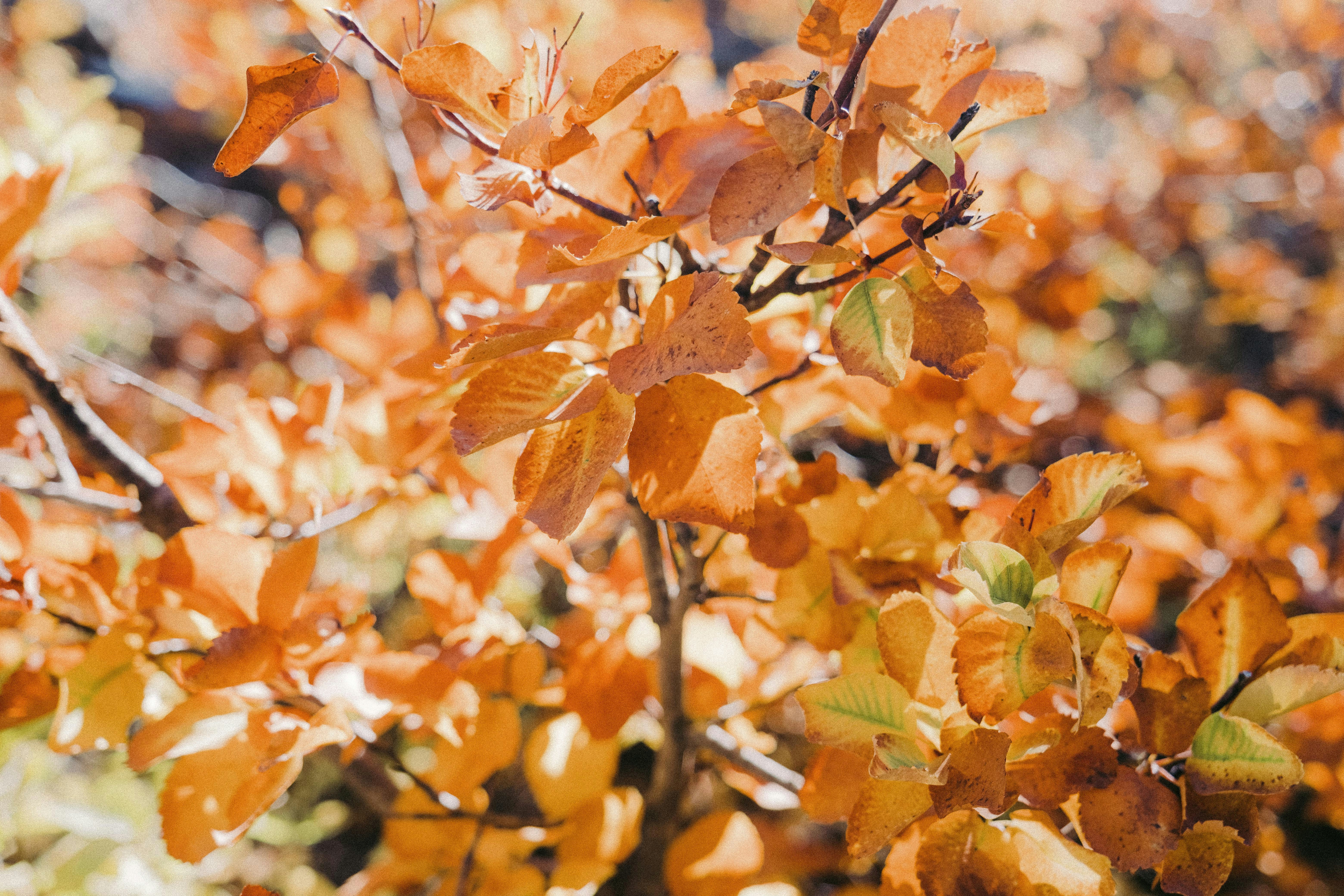 Photo by colinandmeg