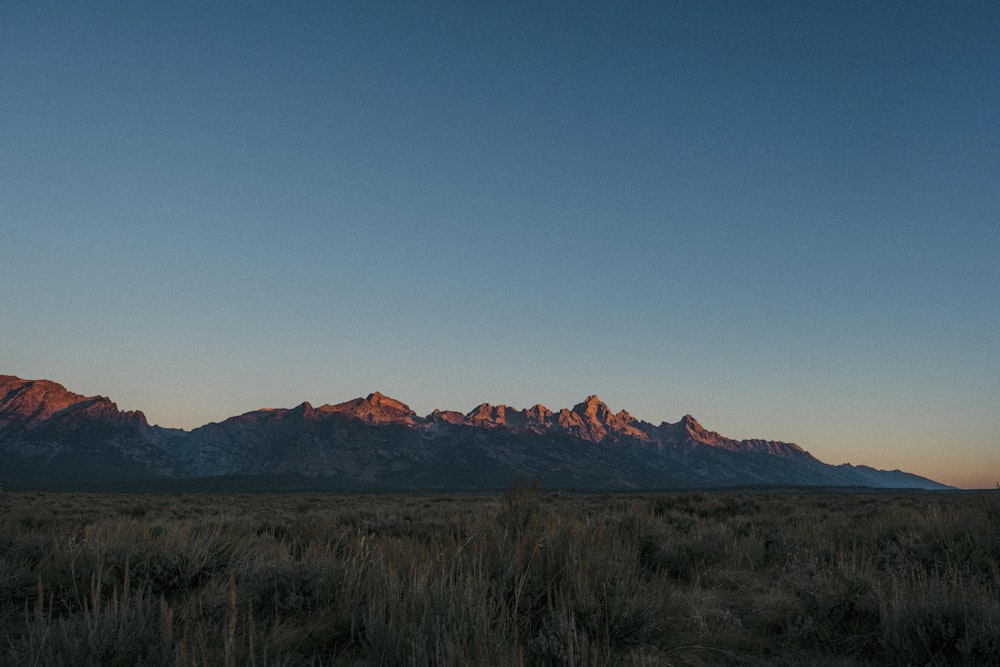 a field with a mountain range in the background