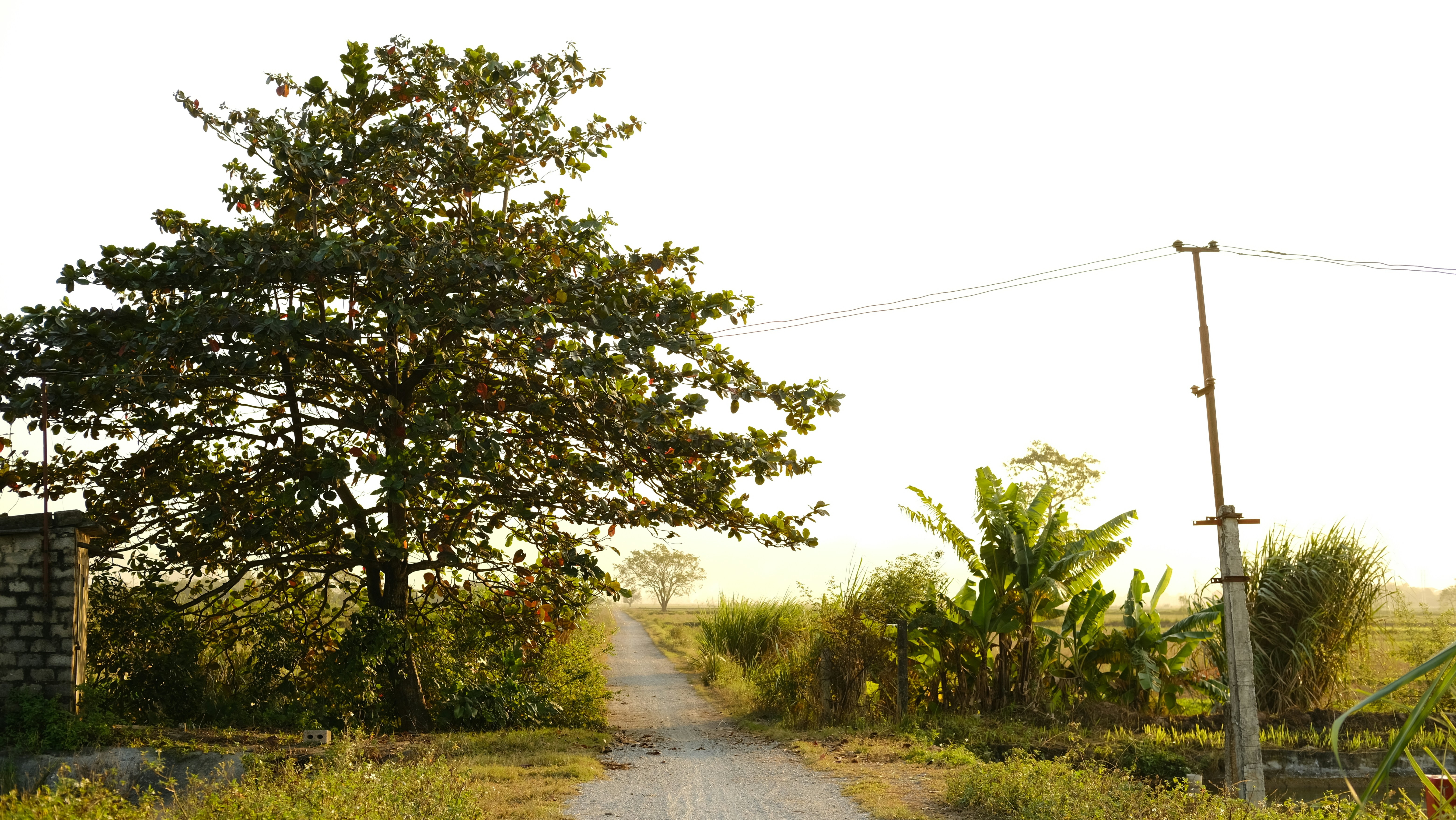 Photo by flying_oldman11