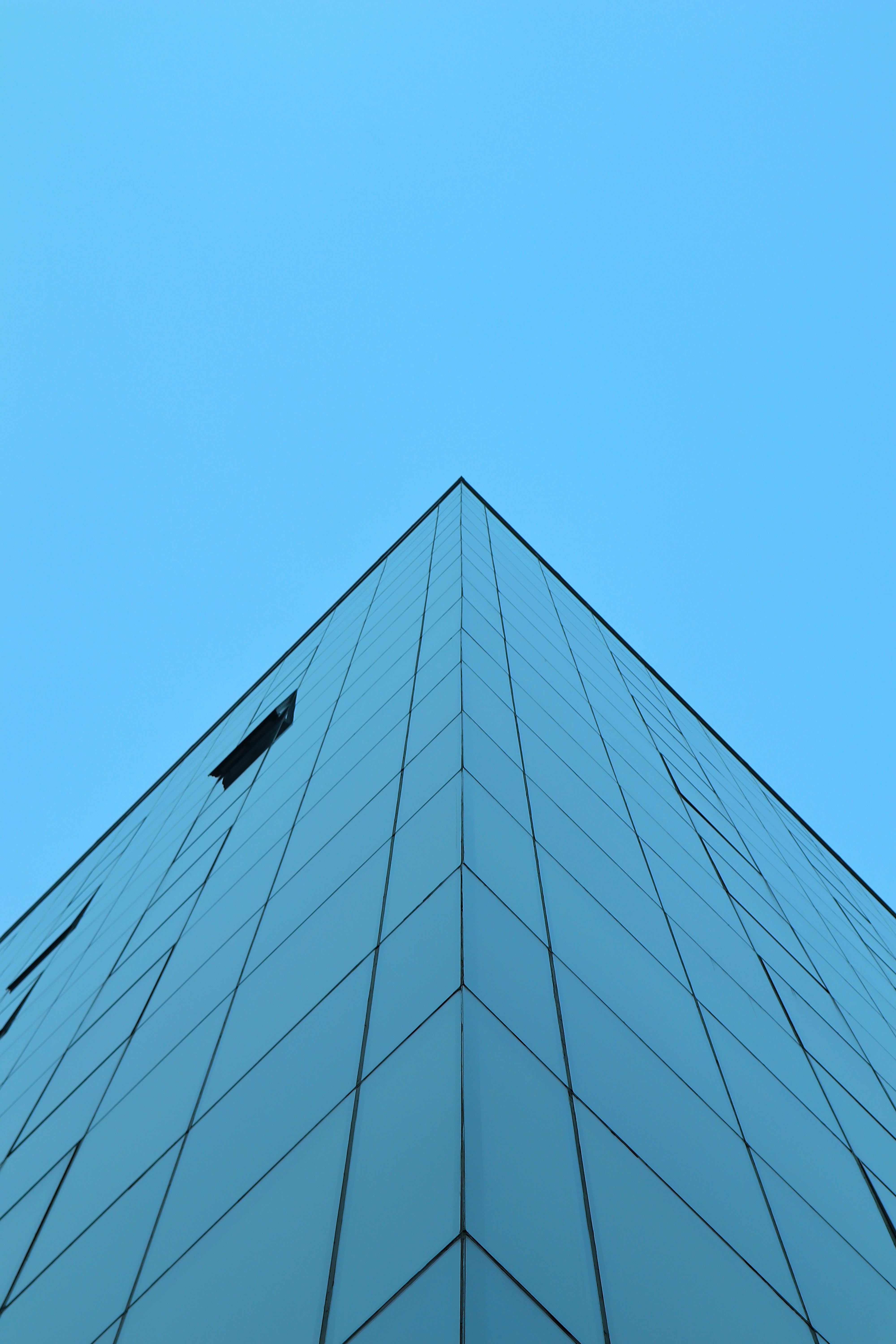 Freis Immobilien Team