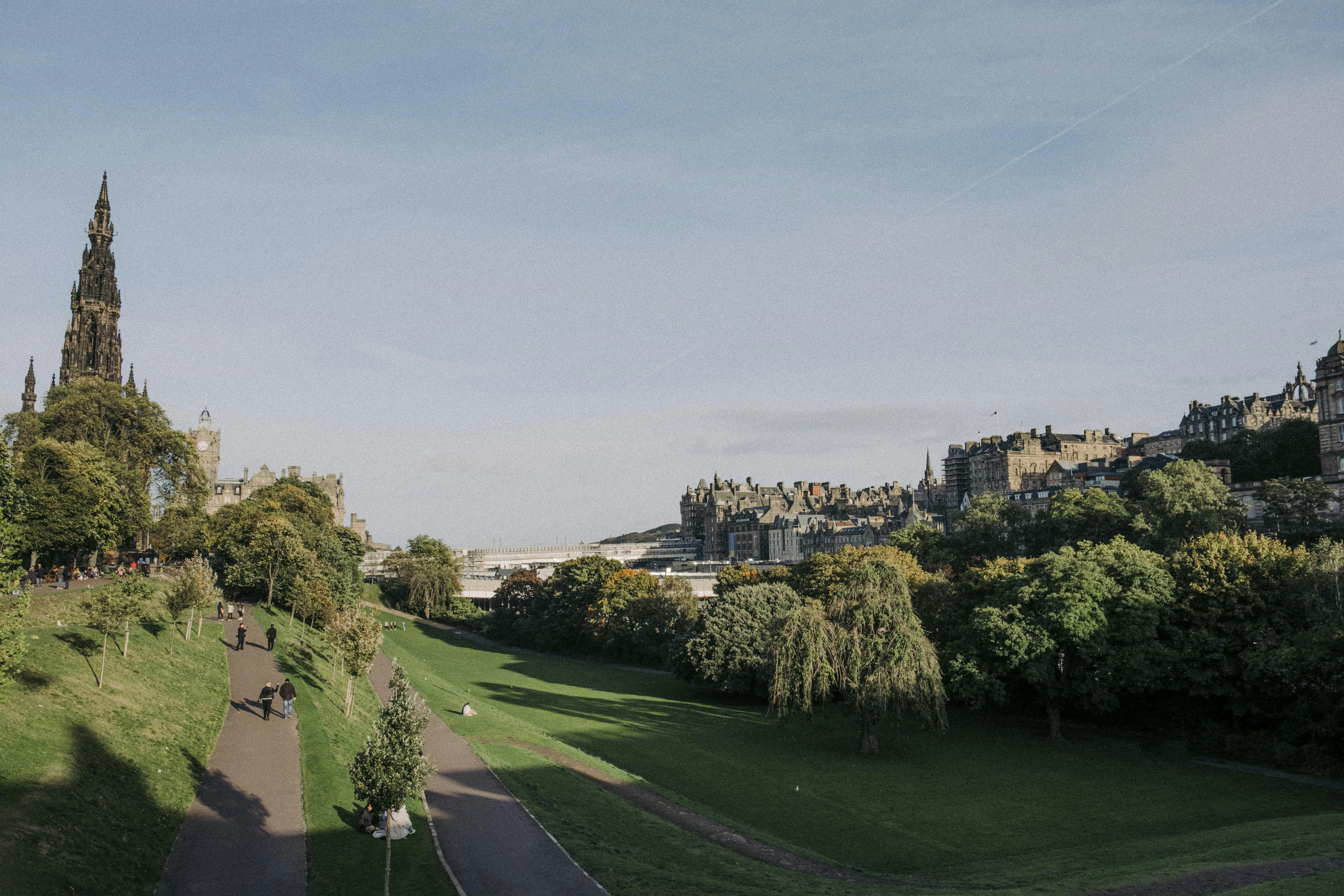 Budget-Friendly Options