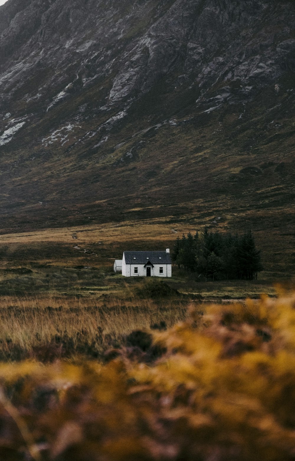 a house in a field with a mountain in the background