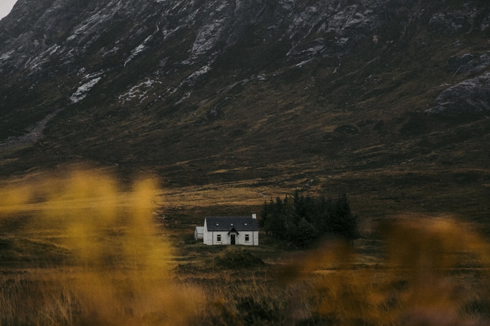 Una casa in mezzo a un campo con una montagna sullo sfondo