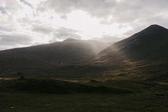 Sunlight breaking through the fog over the NA Farmhouse plots, highlighting the natural beauty