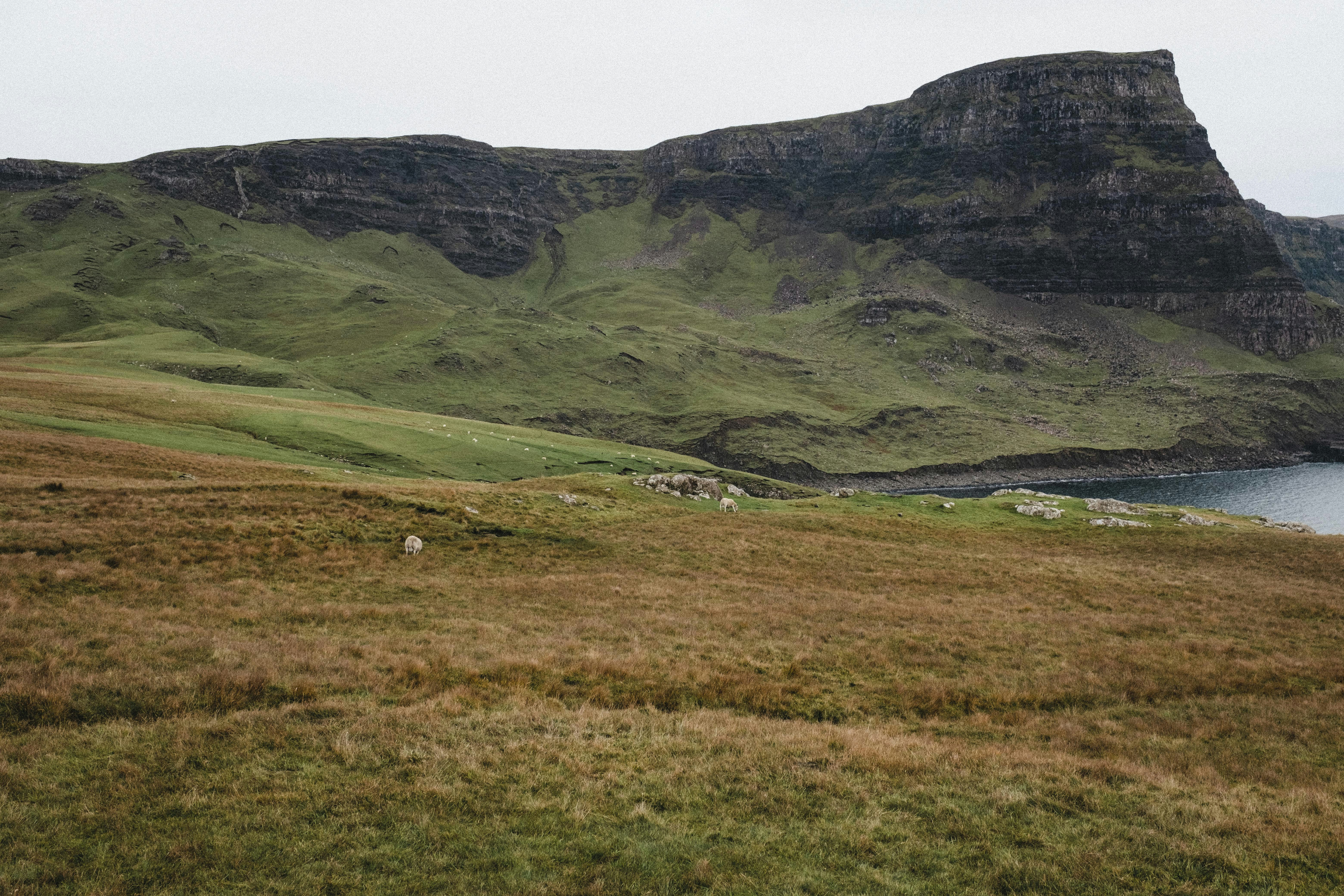 Photo by colinandmeg