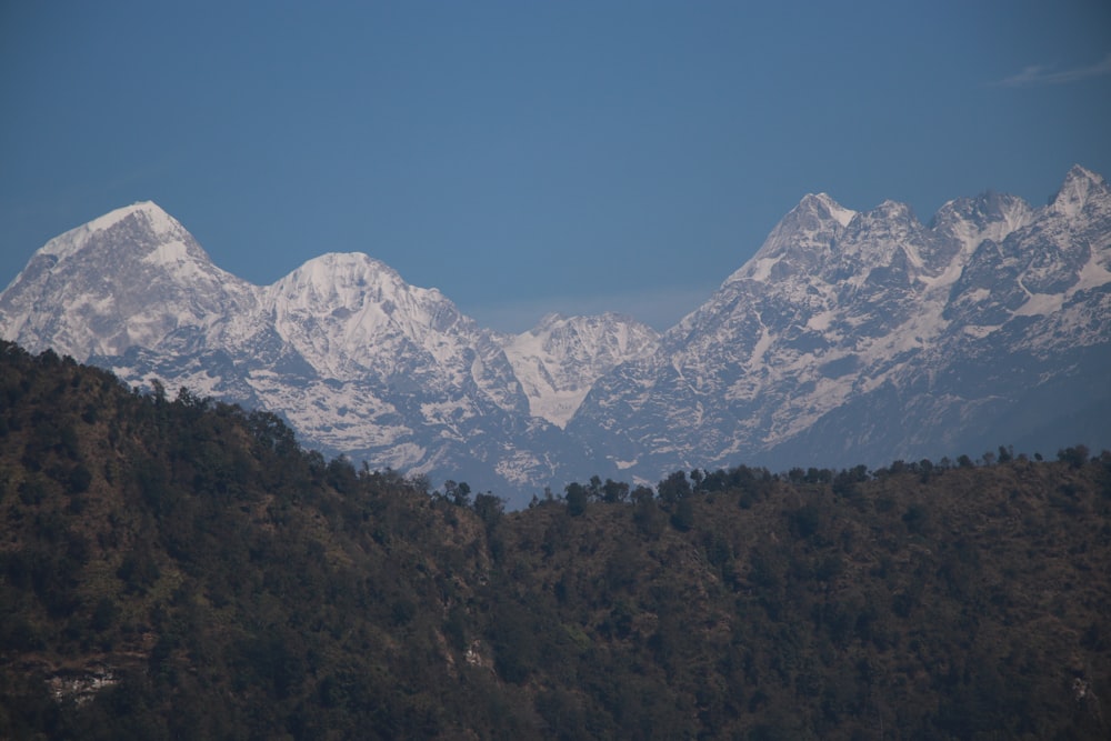 a view of a mountain range with trees in the foreground