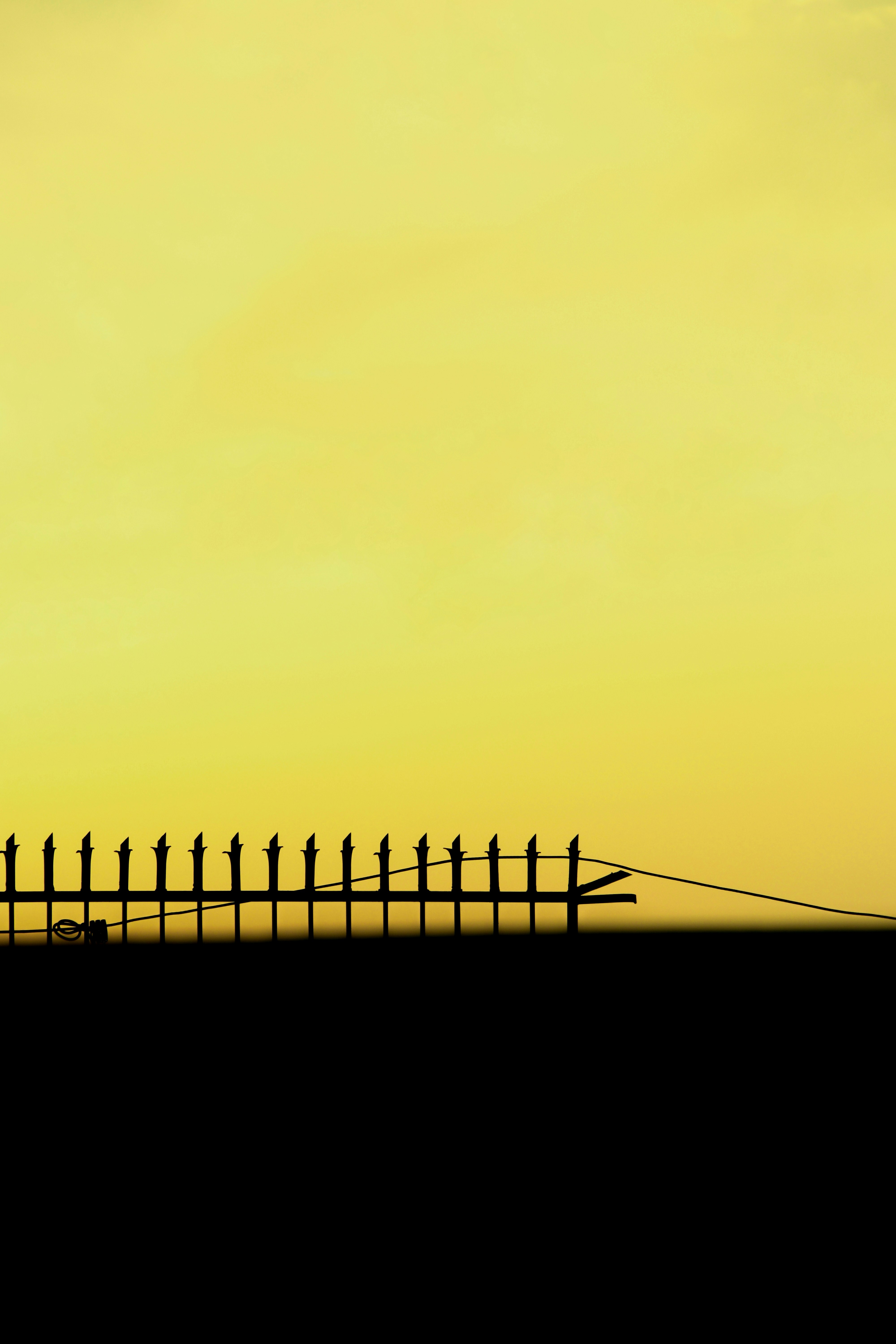 Photo by rudradhungana00