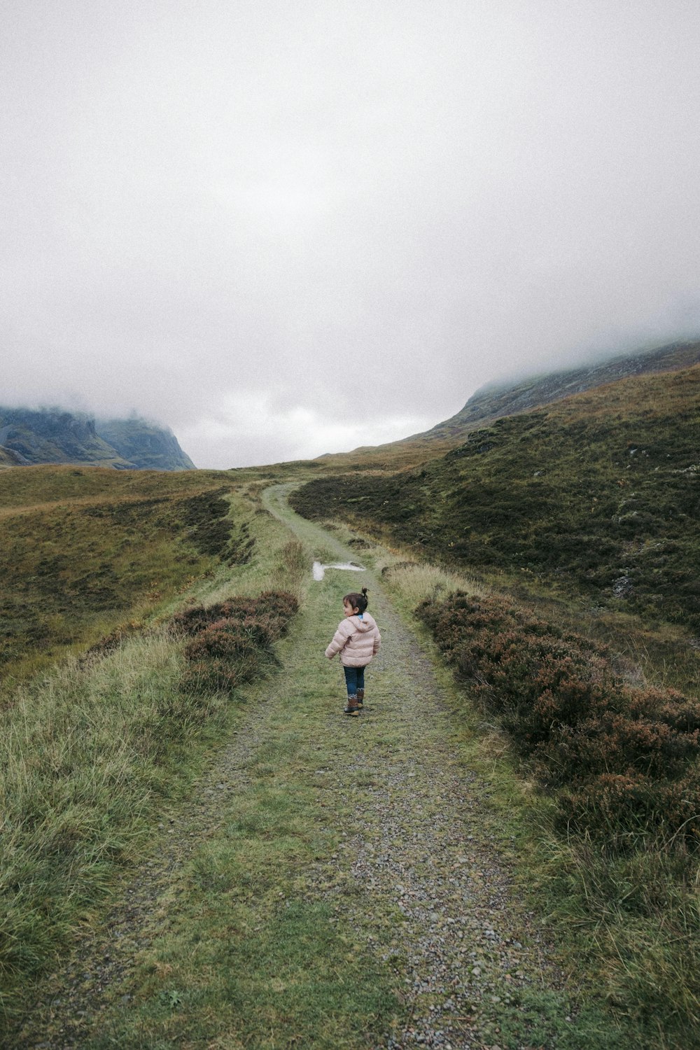 a person walking down a path in the middle of a field