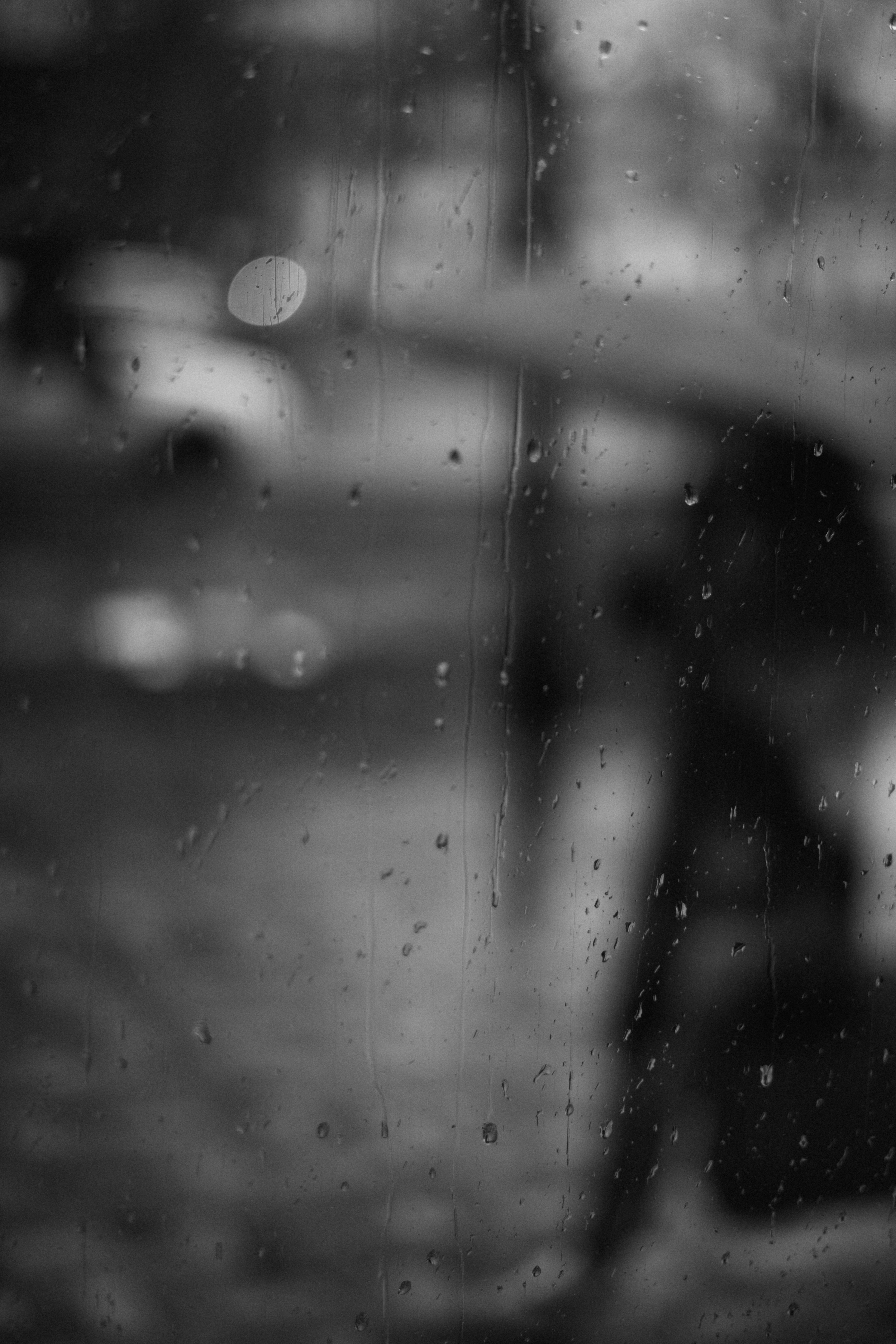 Photo by albina___white