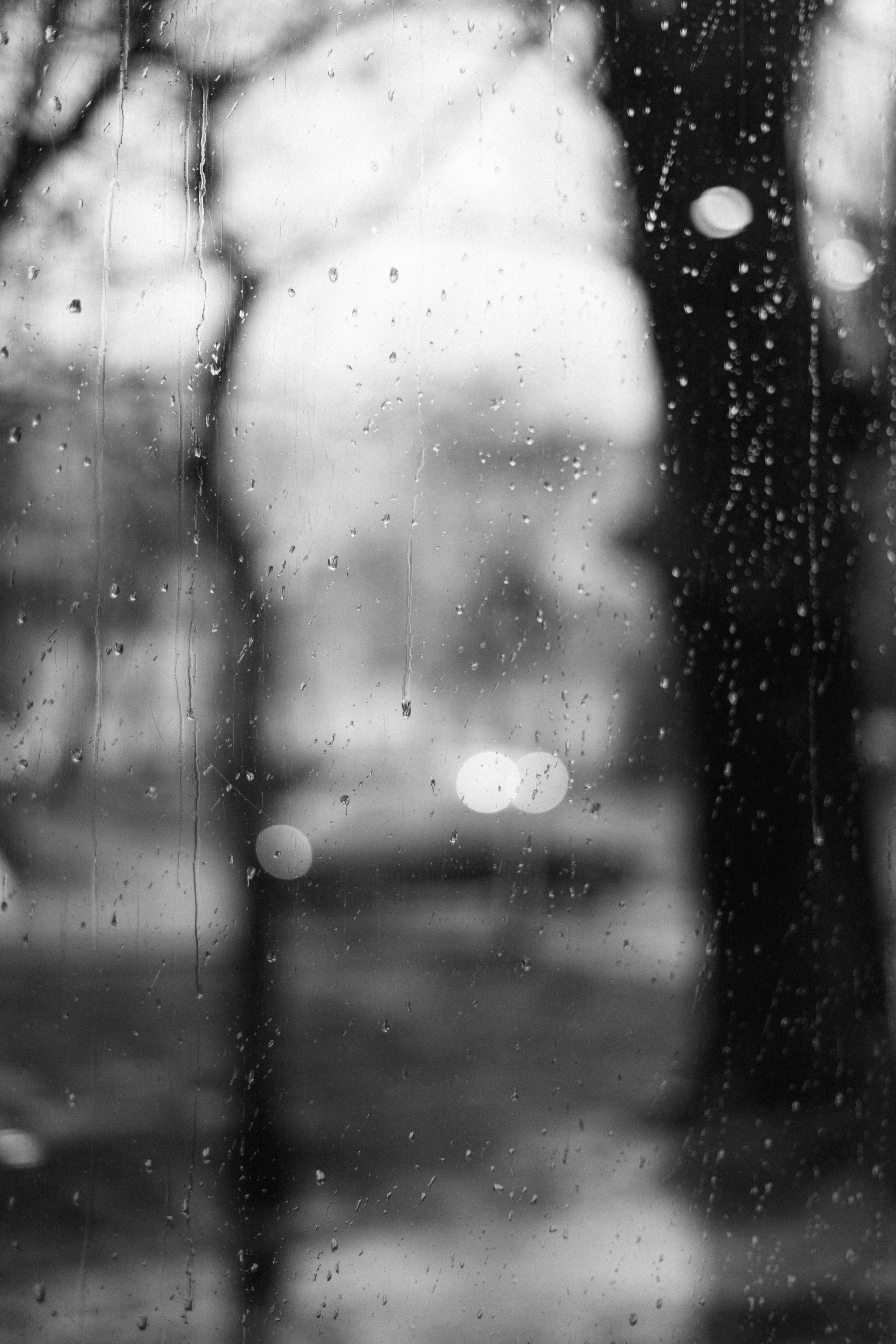 Photo by albina___white