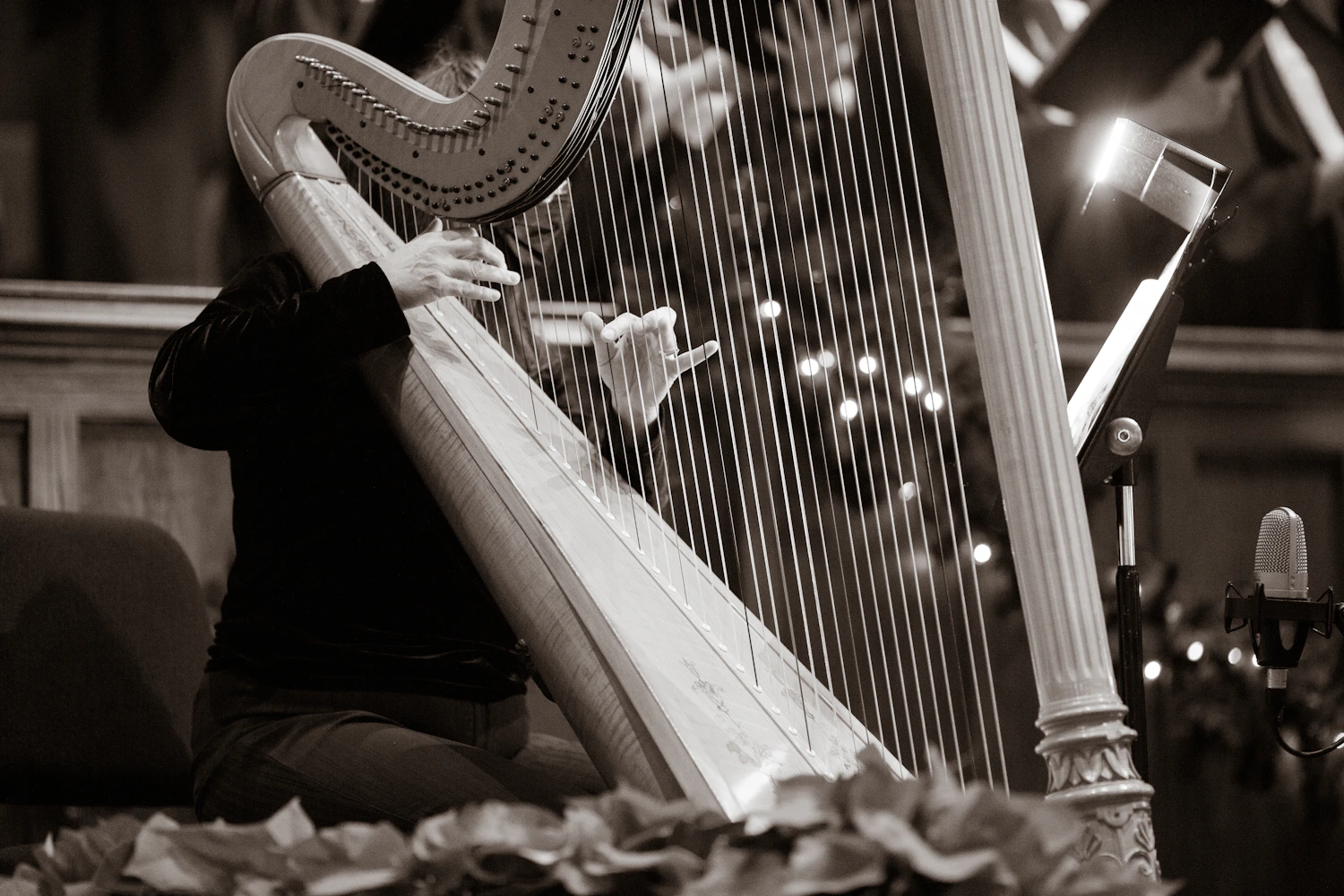 Harpist performing