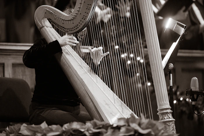Harpist