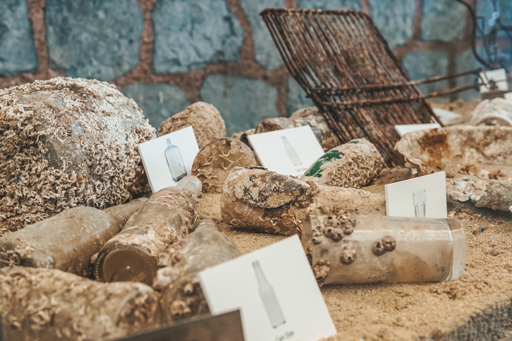 a bunch of rocks that are sitting on the ground