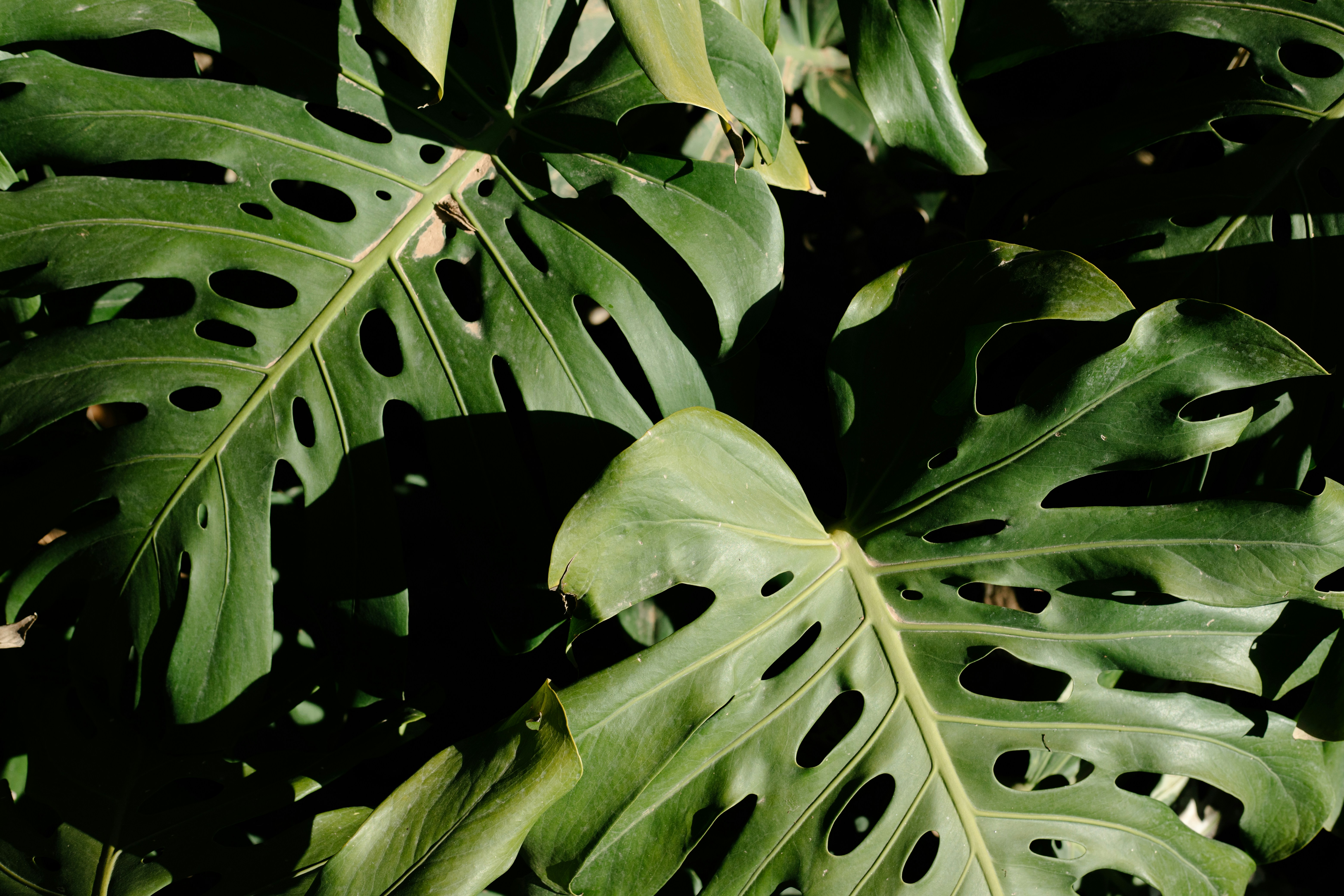 Photo by juliamatuzova