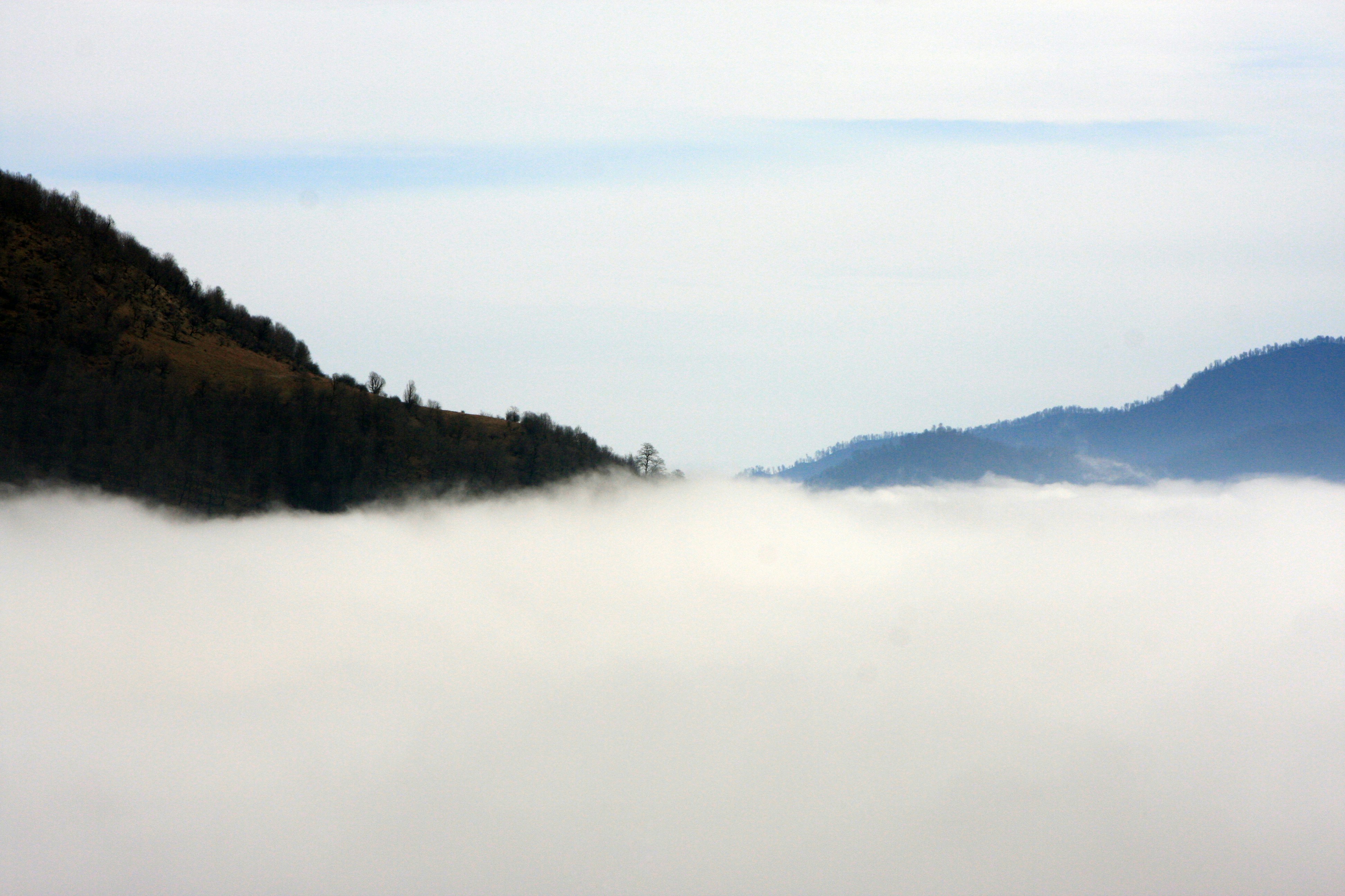 Photo by mohammadosein