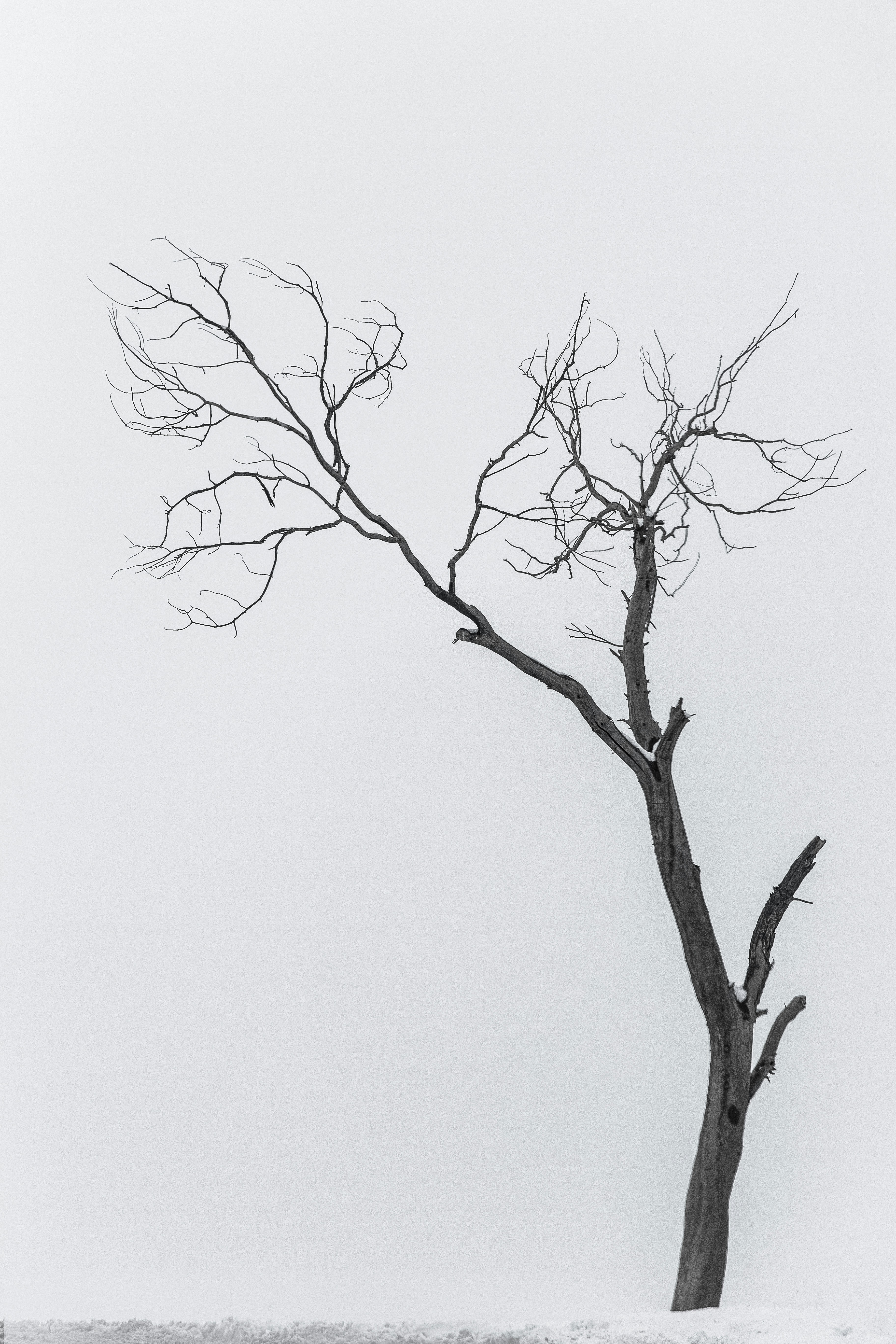 Photo by mohammadosein