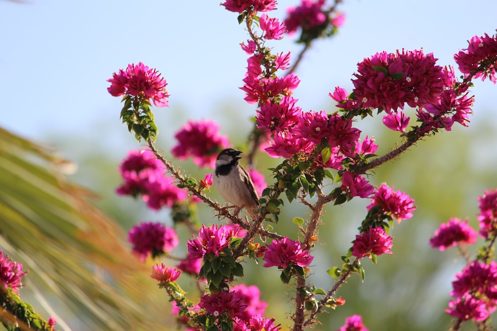 a small bird sitting on a branch of a tree