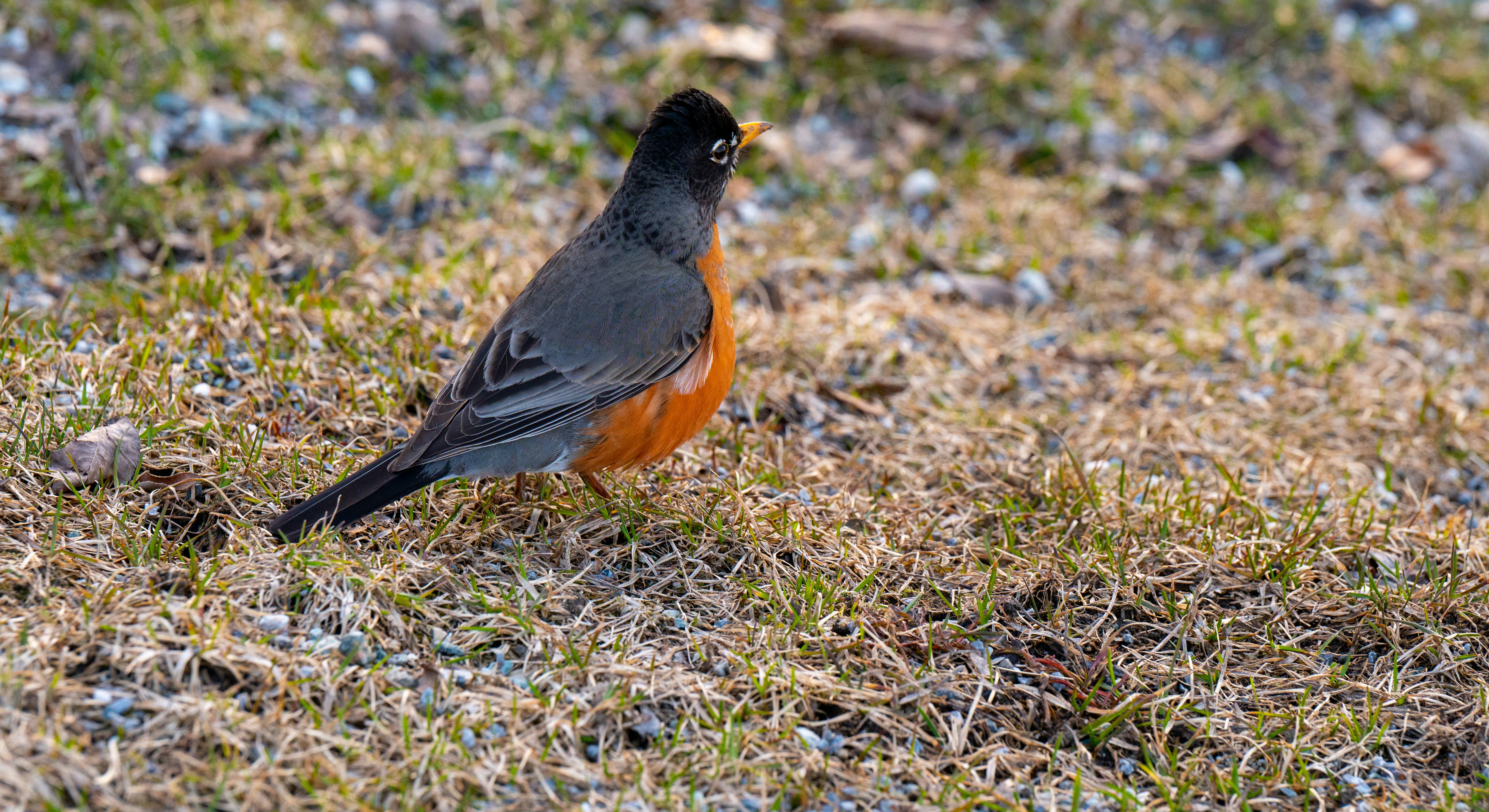 Photo by add_rien_20