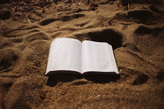 An open book lies on a sandy beach, with sunlight casting shadows across the pages and the textured surface of the sand.