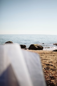 Mindful Moments