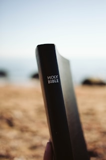 A close-up of a black leather-bound book with the words 'Holy Bible' embossed on the cover. The background is blurred, showing a serene outdoor setting with a clear blue sky and distant water.