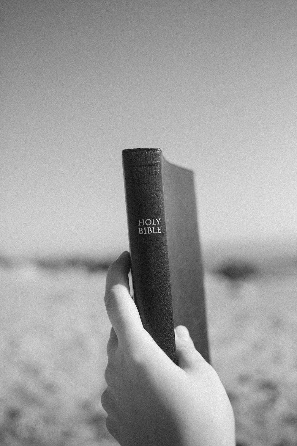 a person holding a bible in their hand