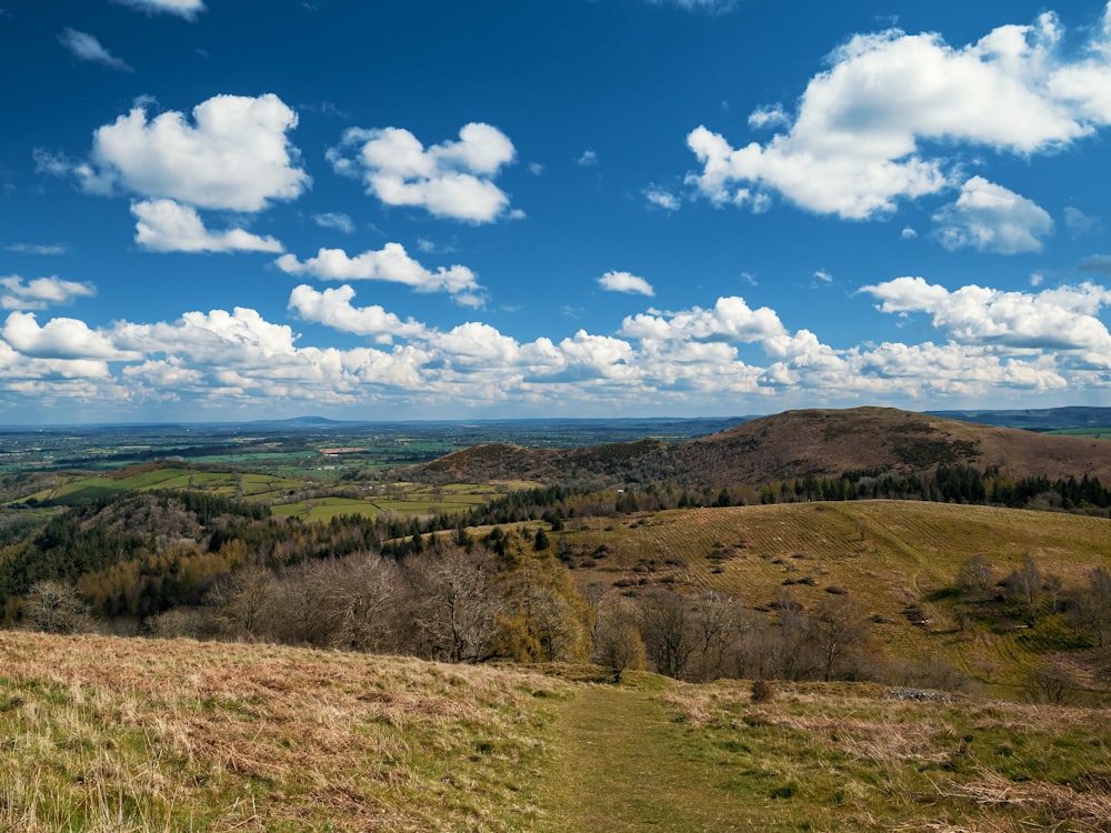 a view of a grassy hill with trees in the distance