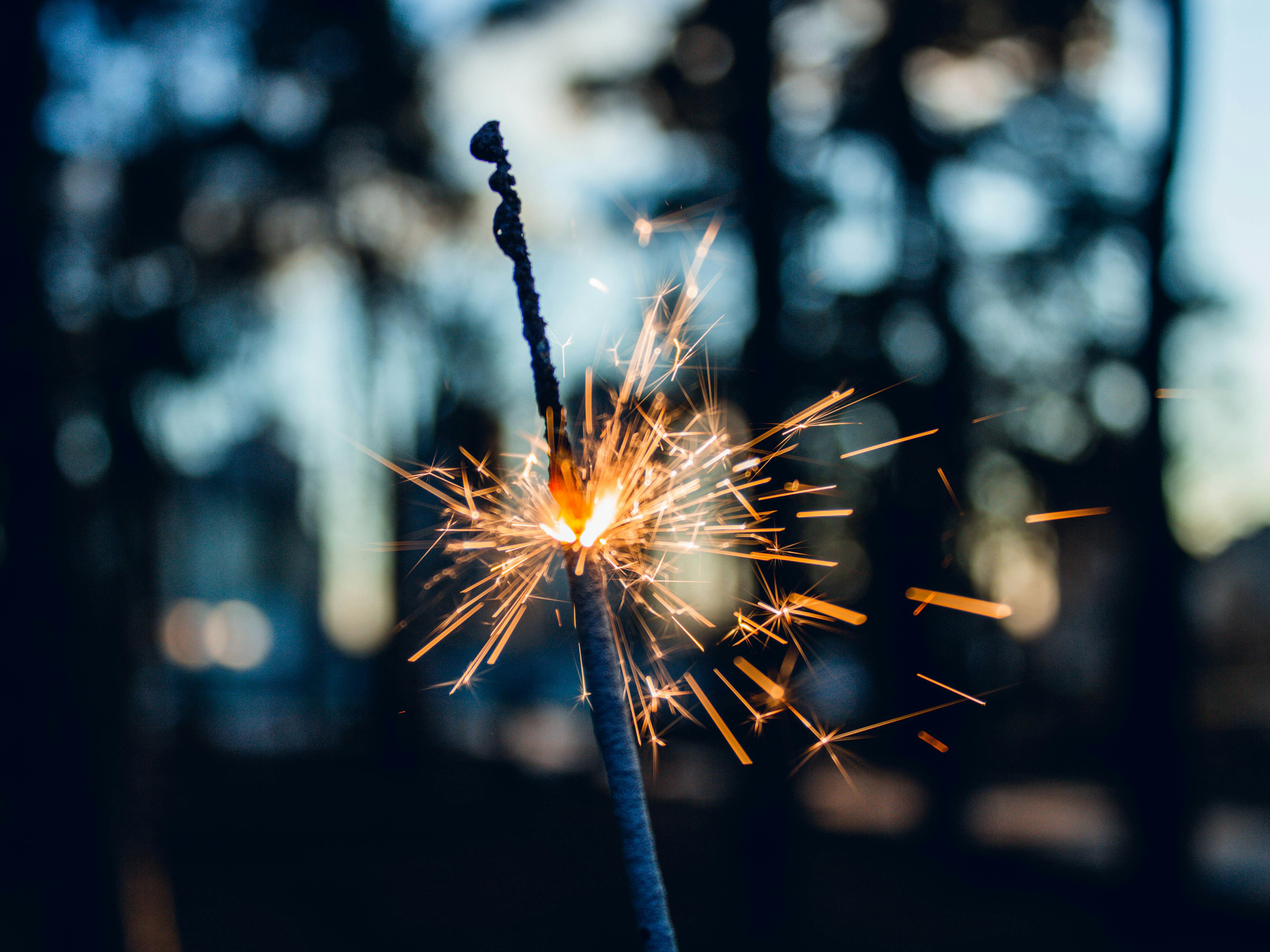 Photo by karinavitvitska