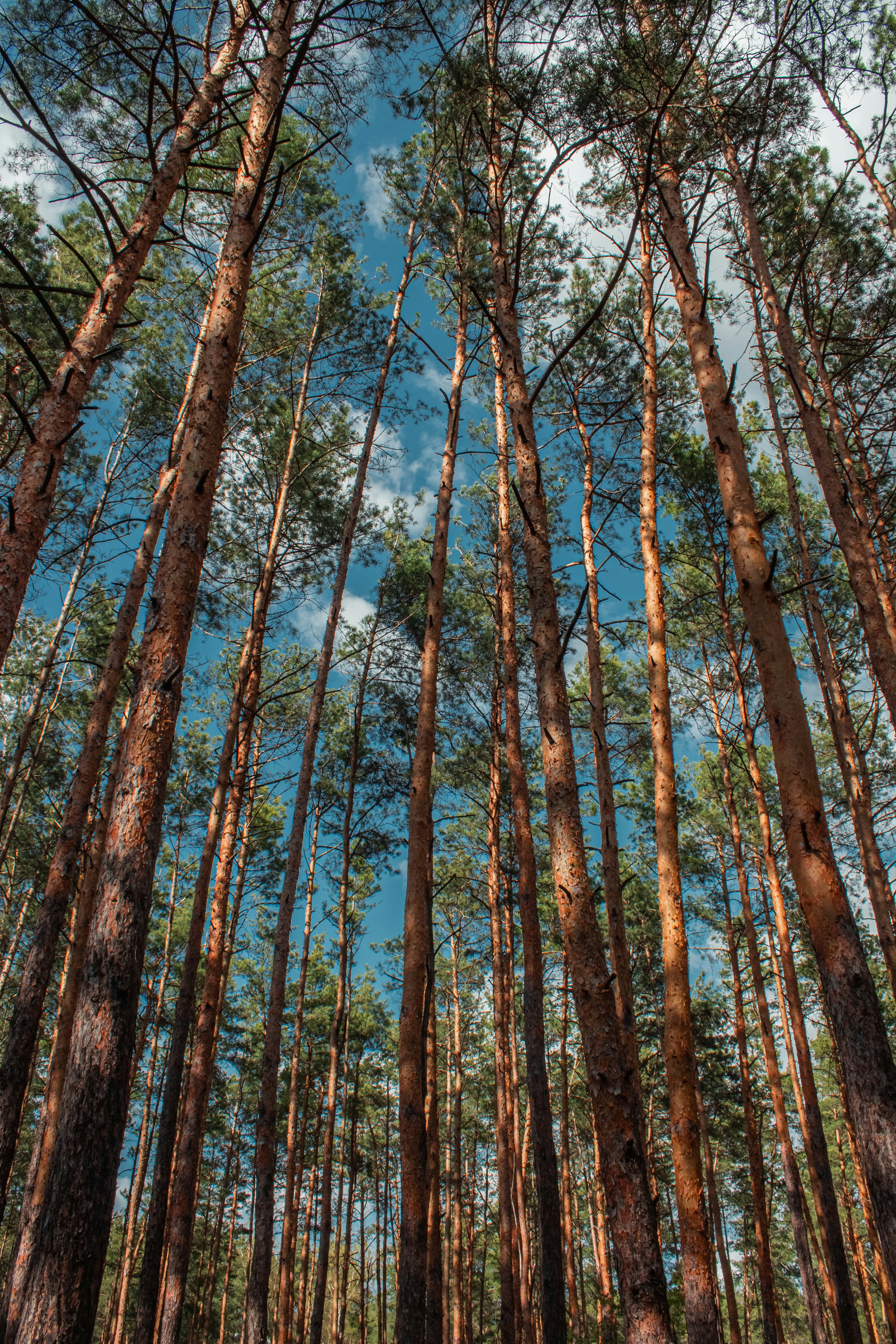 Photo by karinavitvitska