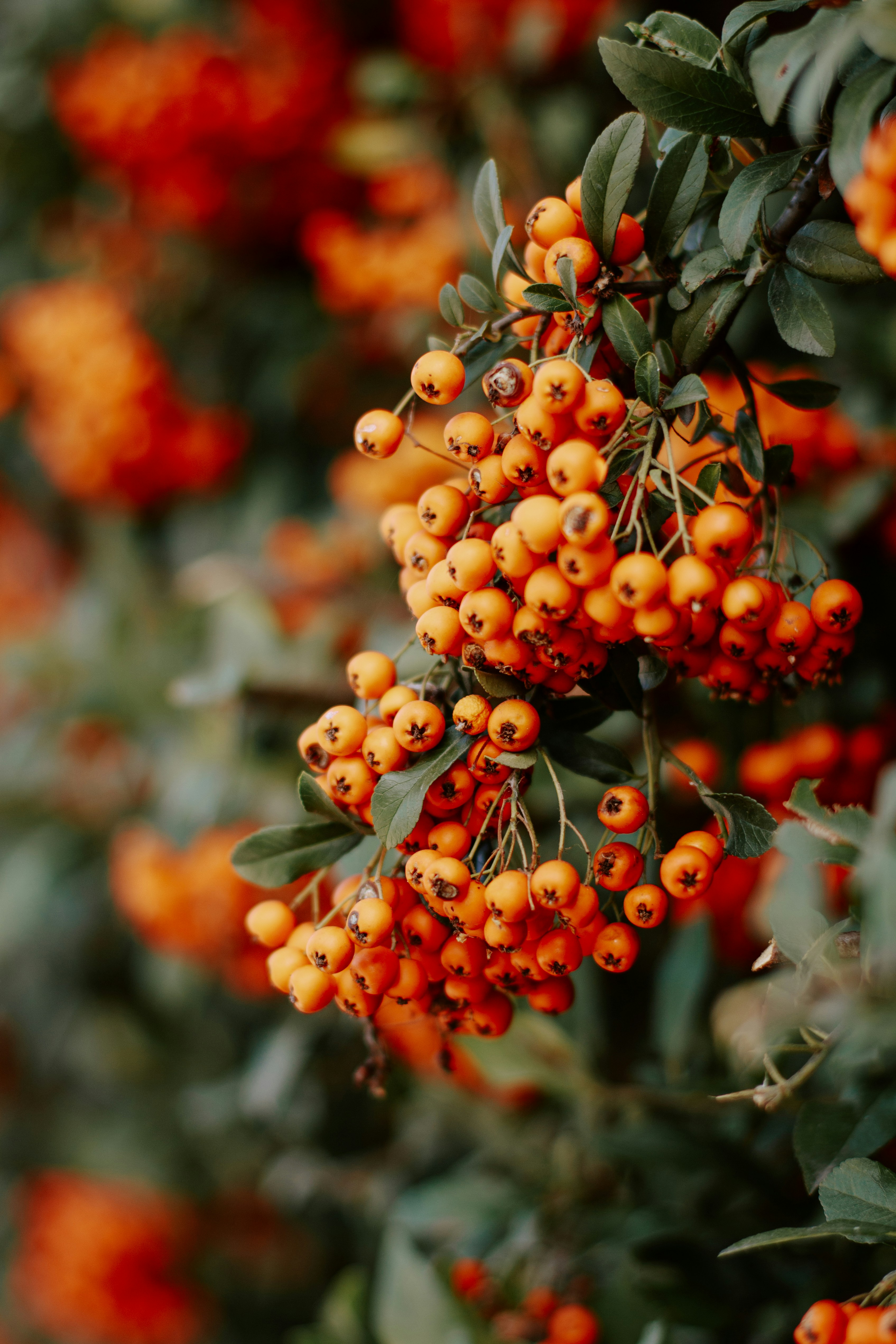 Photo by karinavitvitska