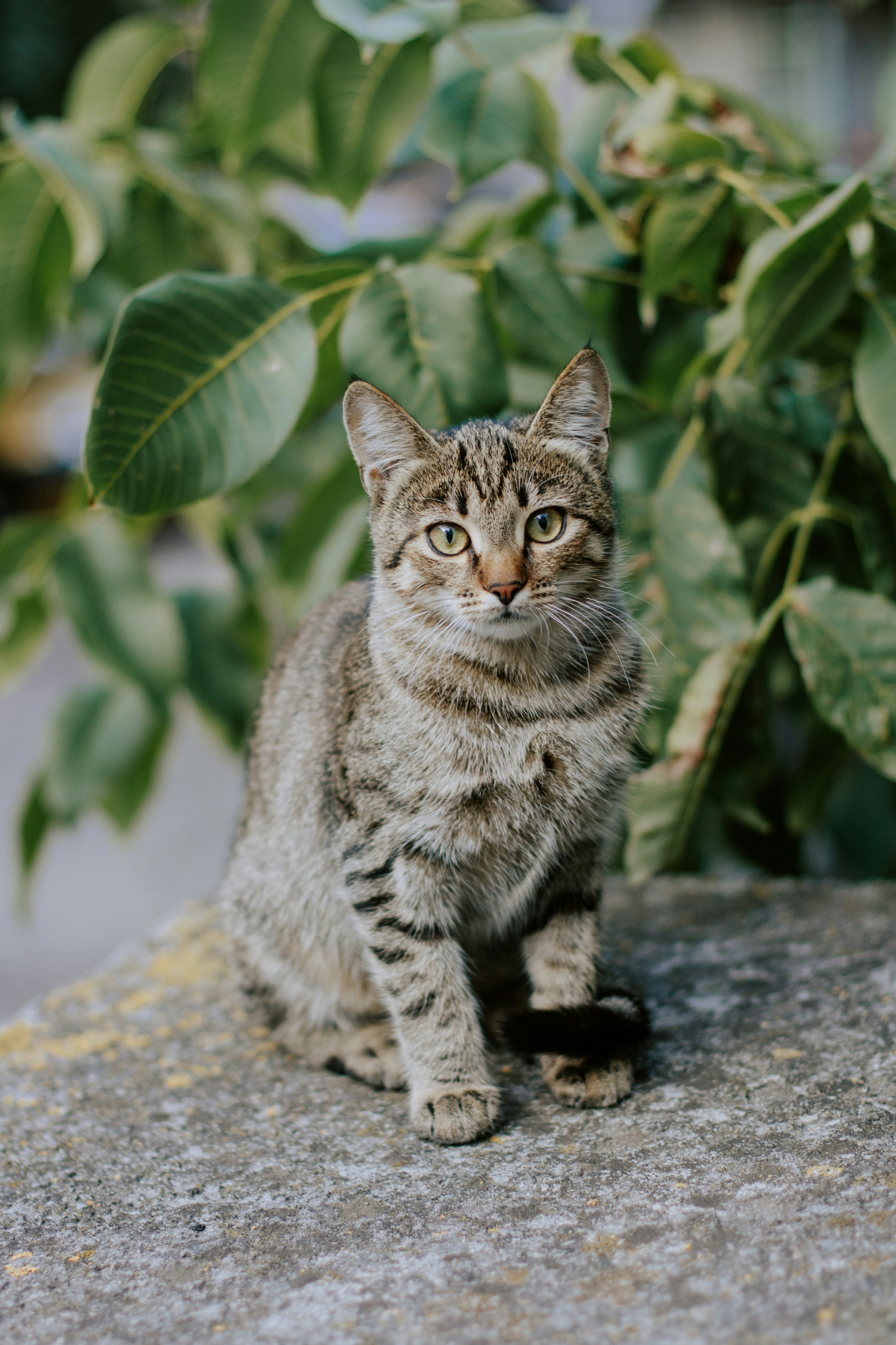 Photo by karinavitvitska