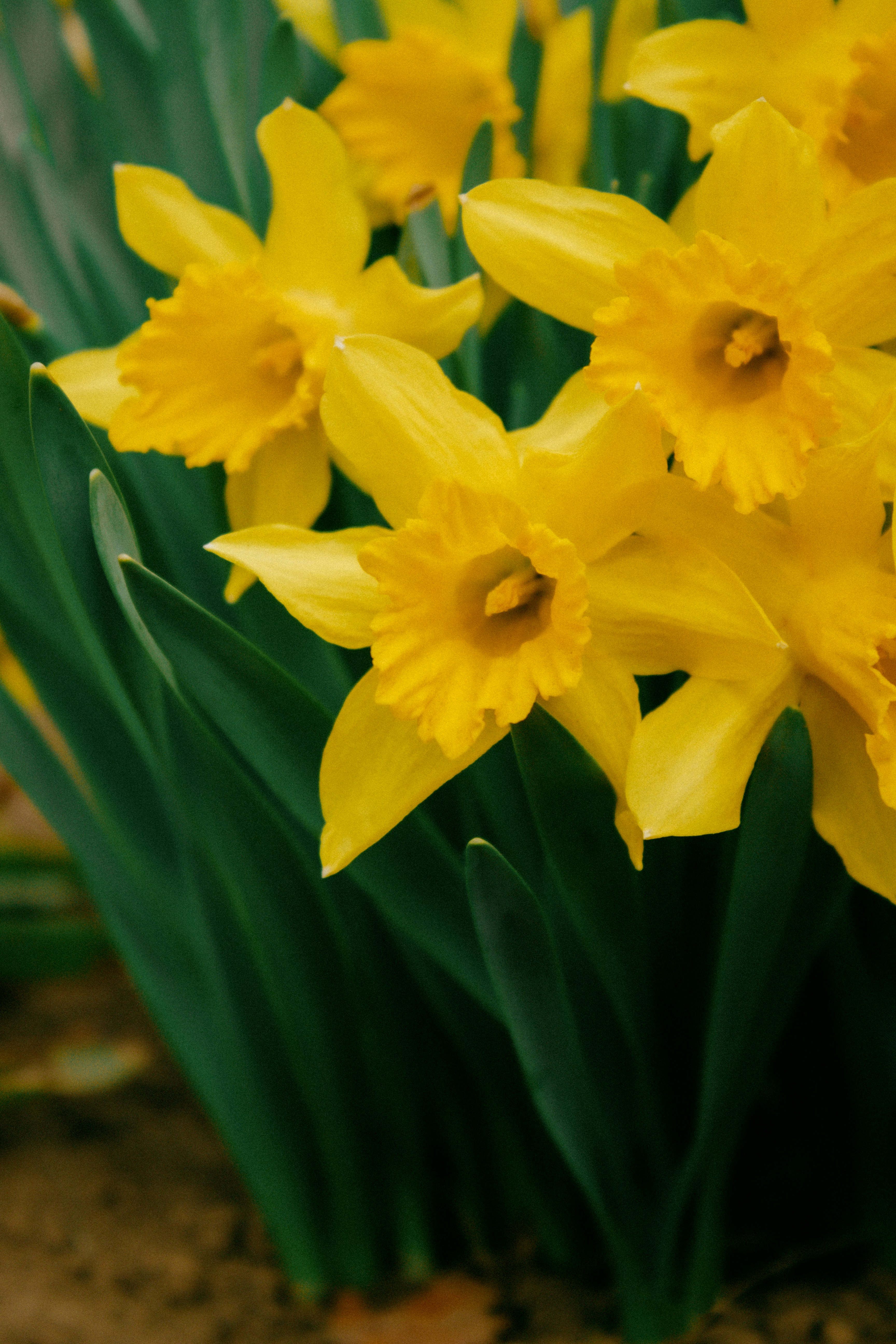 Photo by karinavitvitska