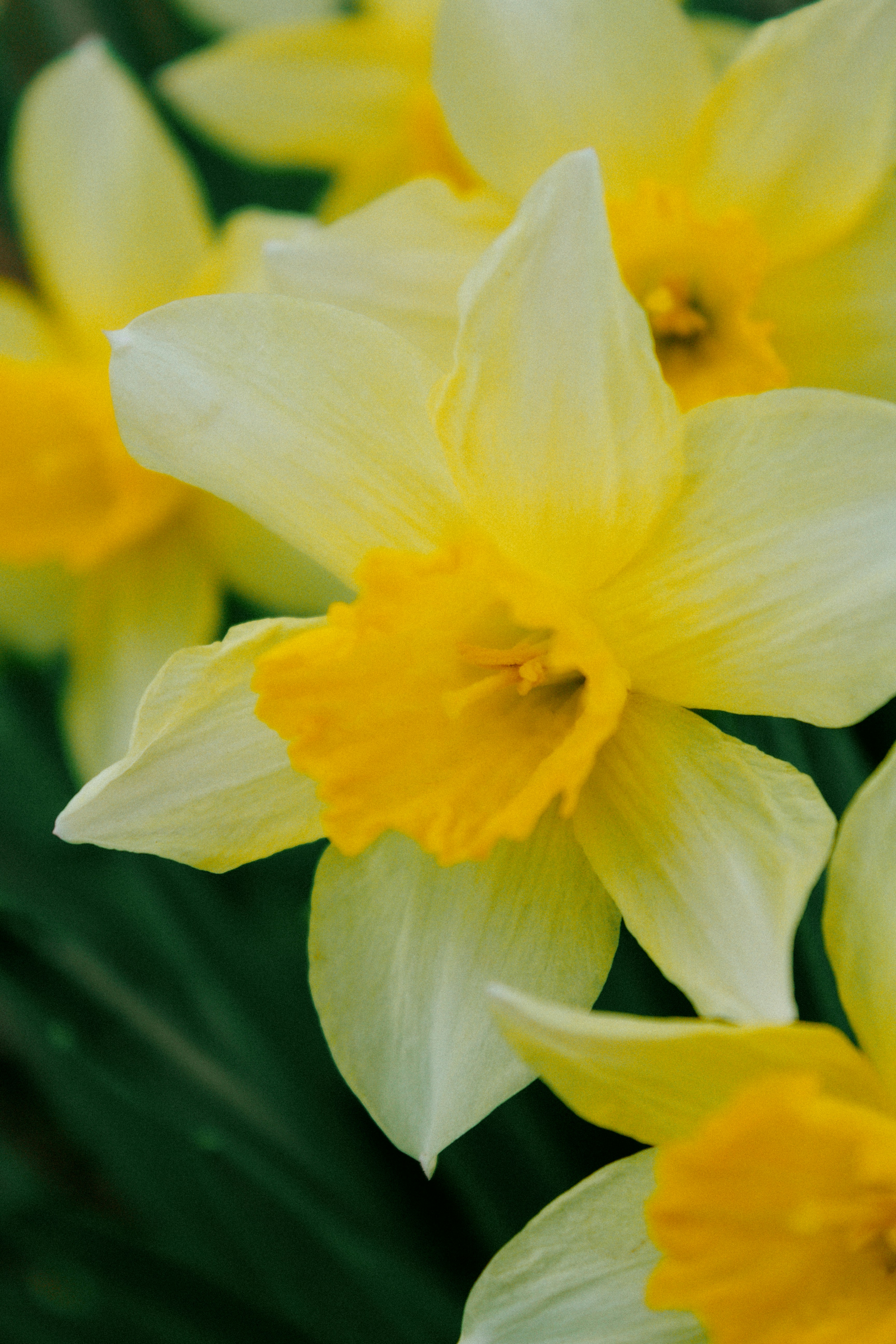 Photo by karinavitvitska