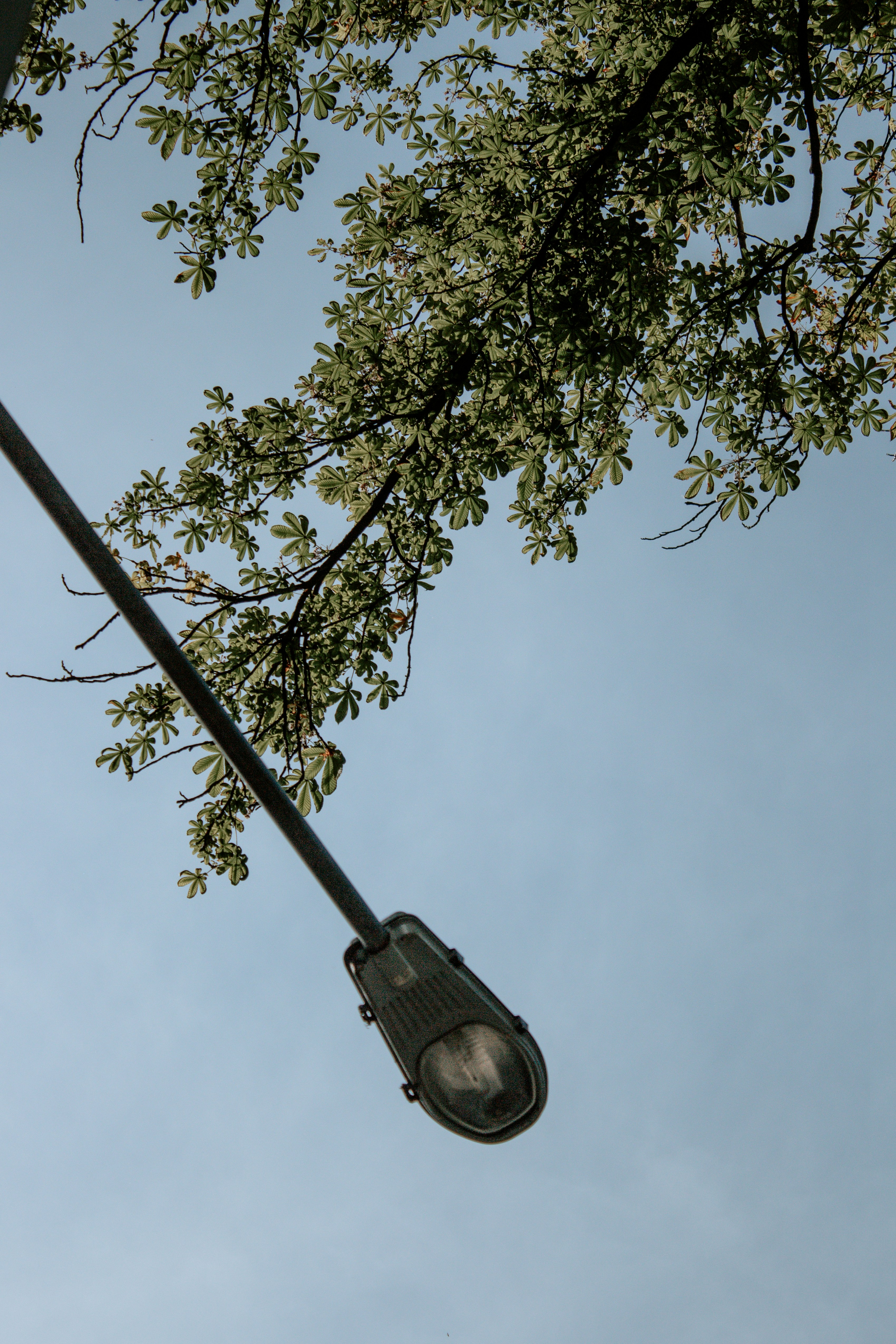 Photo by karinavitvitska