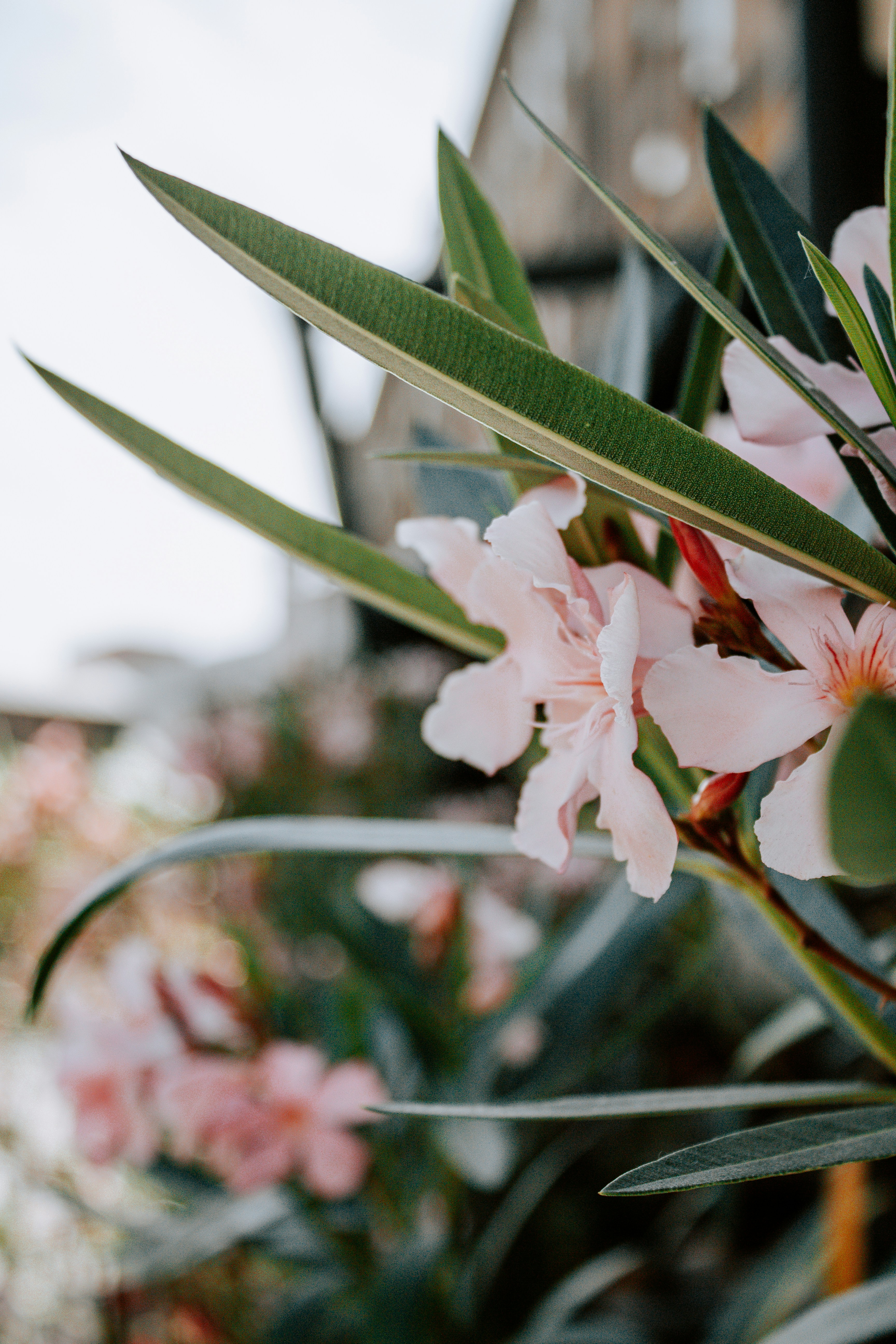 Photo by karinavitvitska