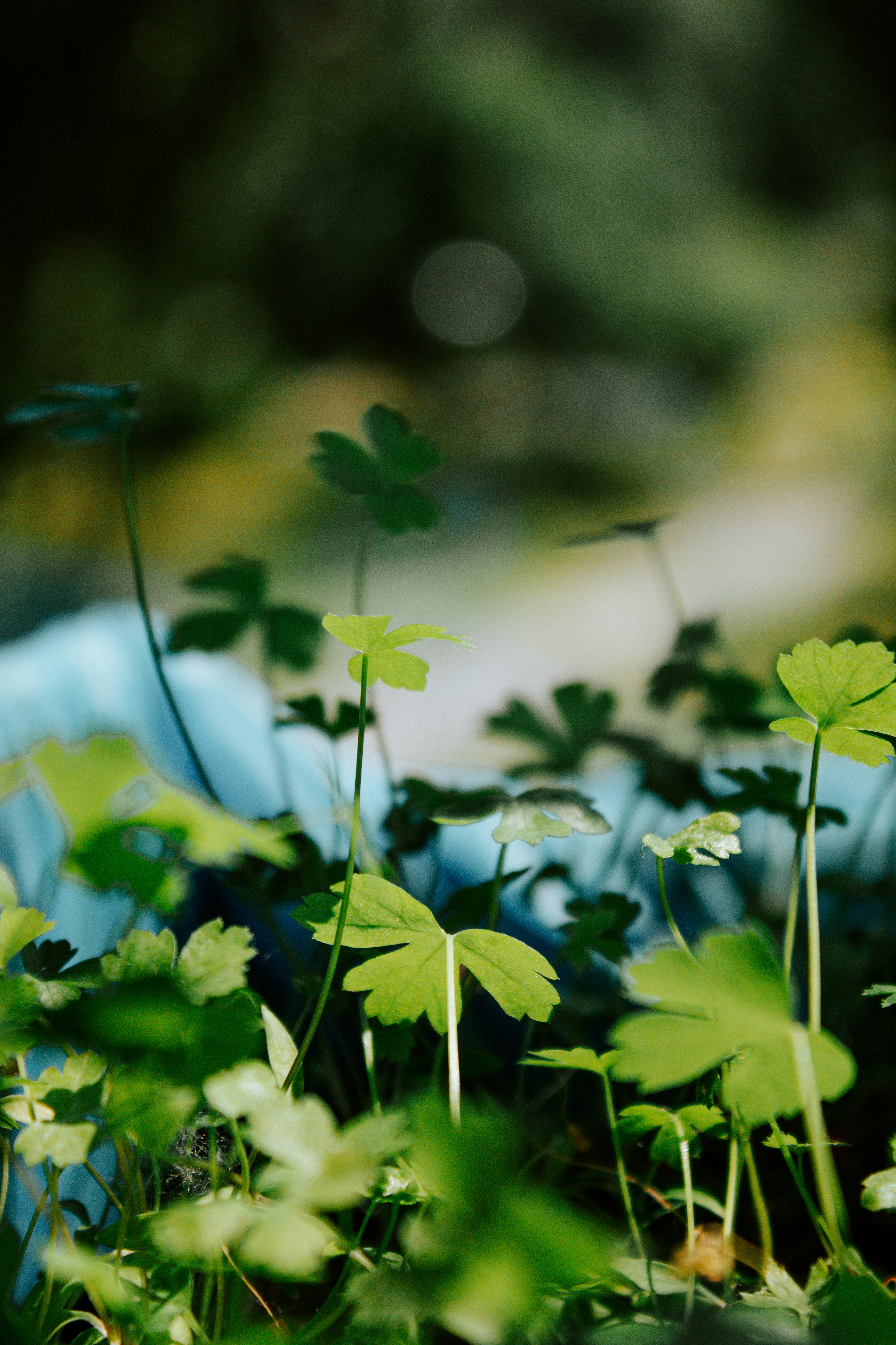 Photo by karinavitvitska