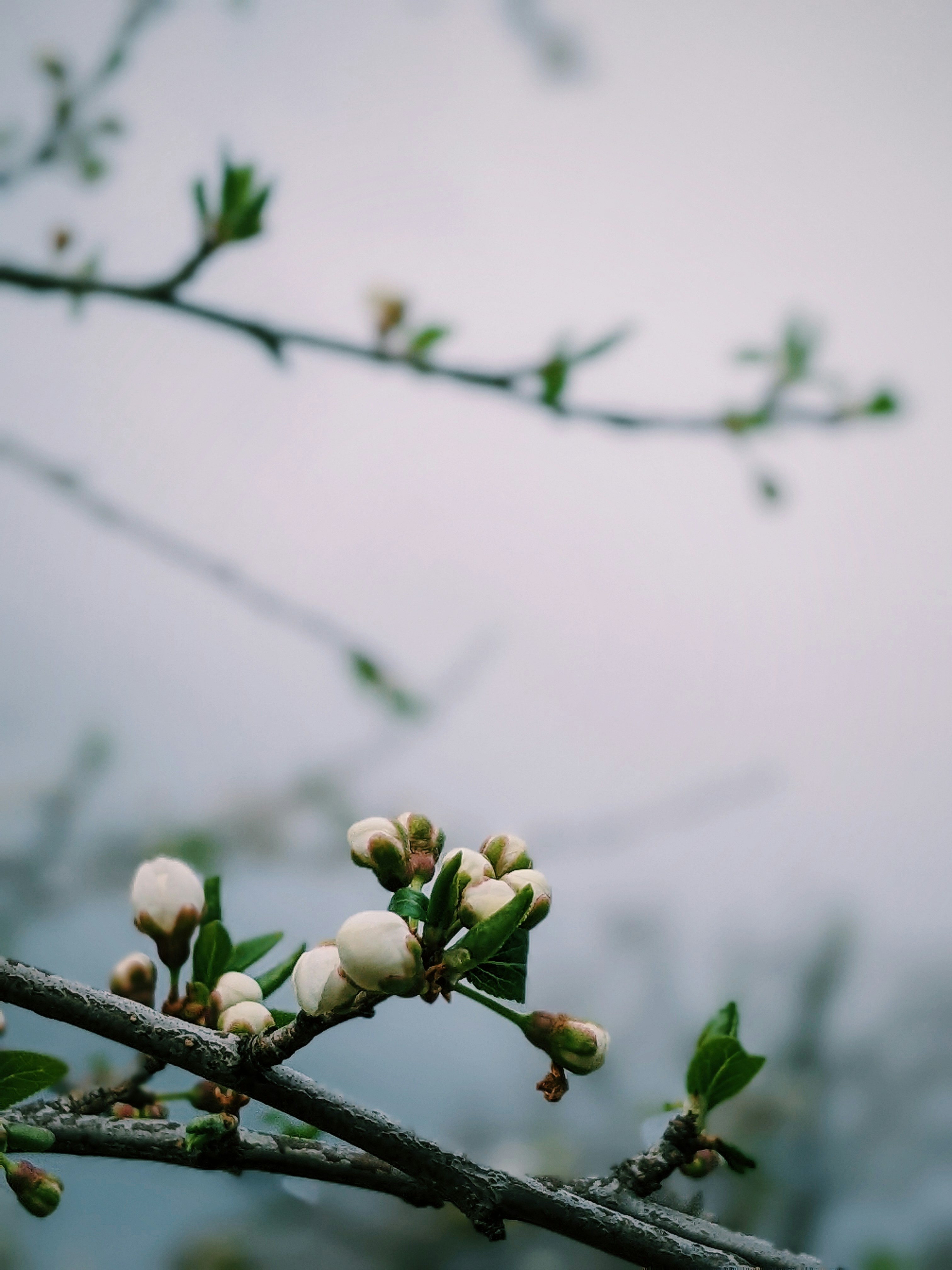 Photo by illiakholin