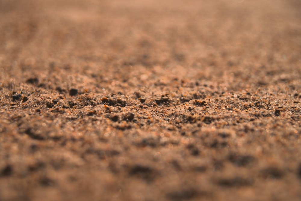 a close up of a dirt surface with small dots