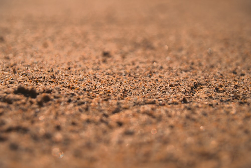 a close up of a dirt surface with a blurry background