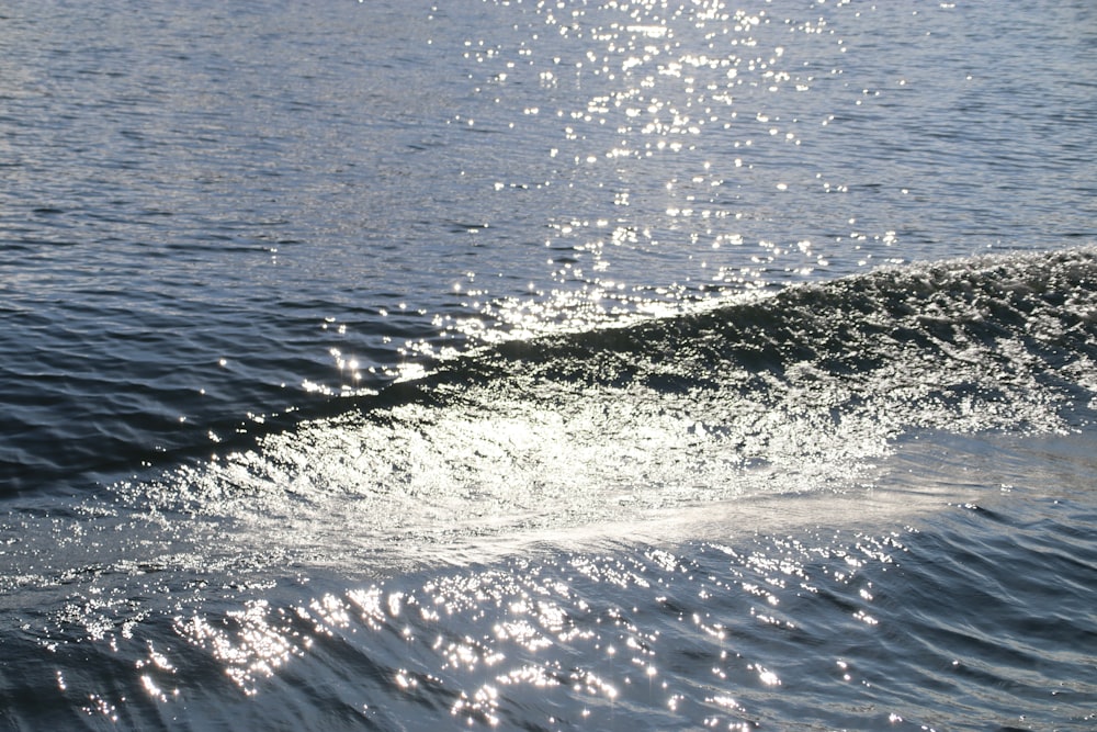 a person riding a surfboard on a body of water