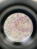 Illustration of viroids affecting plant cell structures
