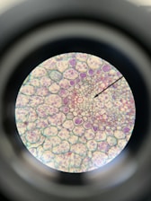 A magnified view of a plant stem cross-section, featuring a pattern of hexagonal and polygonal cells with varying shades of purple and pink. A pointer indicates an area of interest within the cell structure, and the image is viewed through a circular microscope lens.