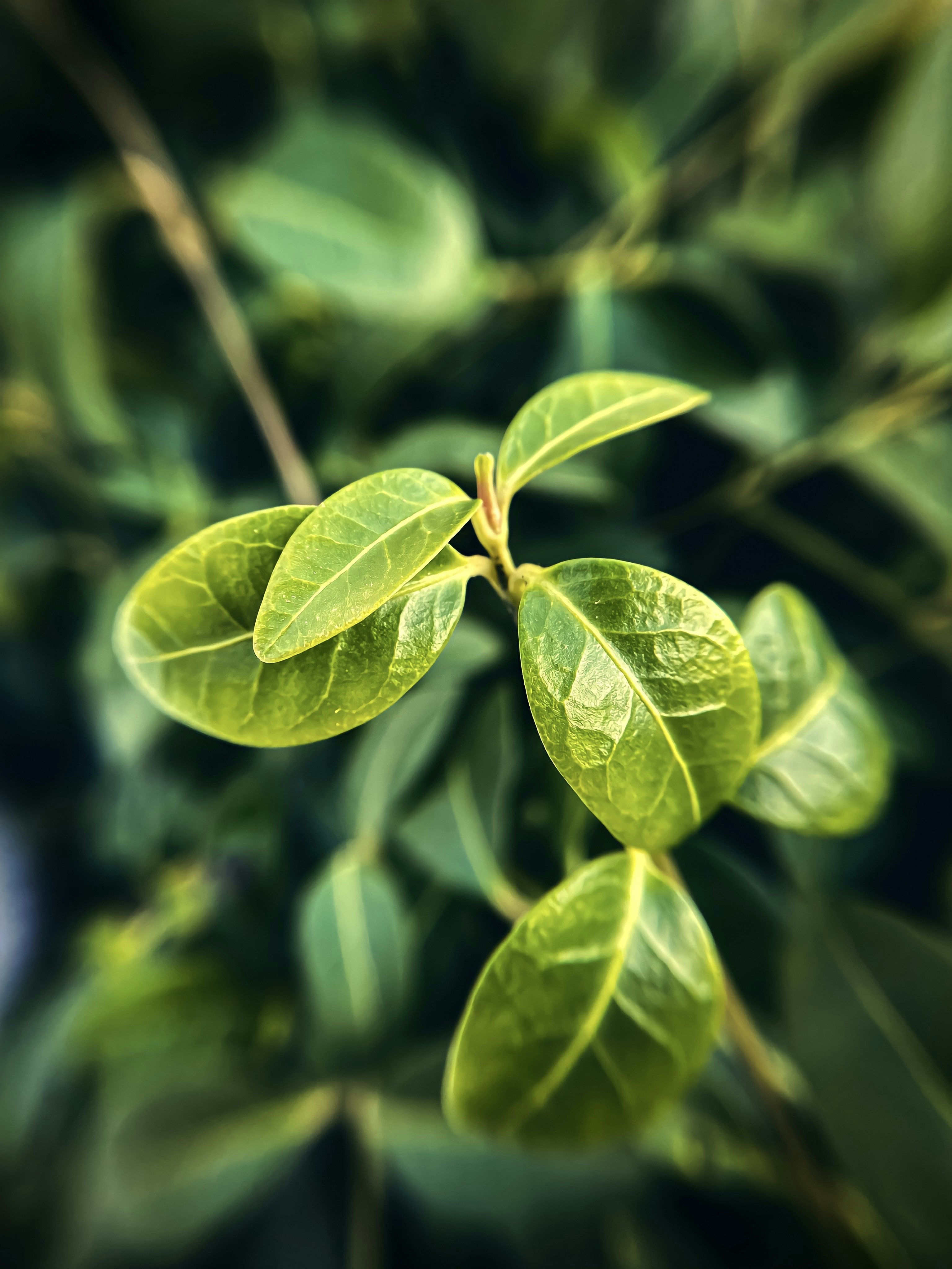 Photo by eugene_golovesov