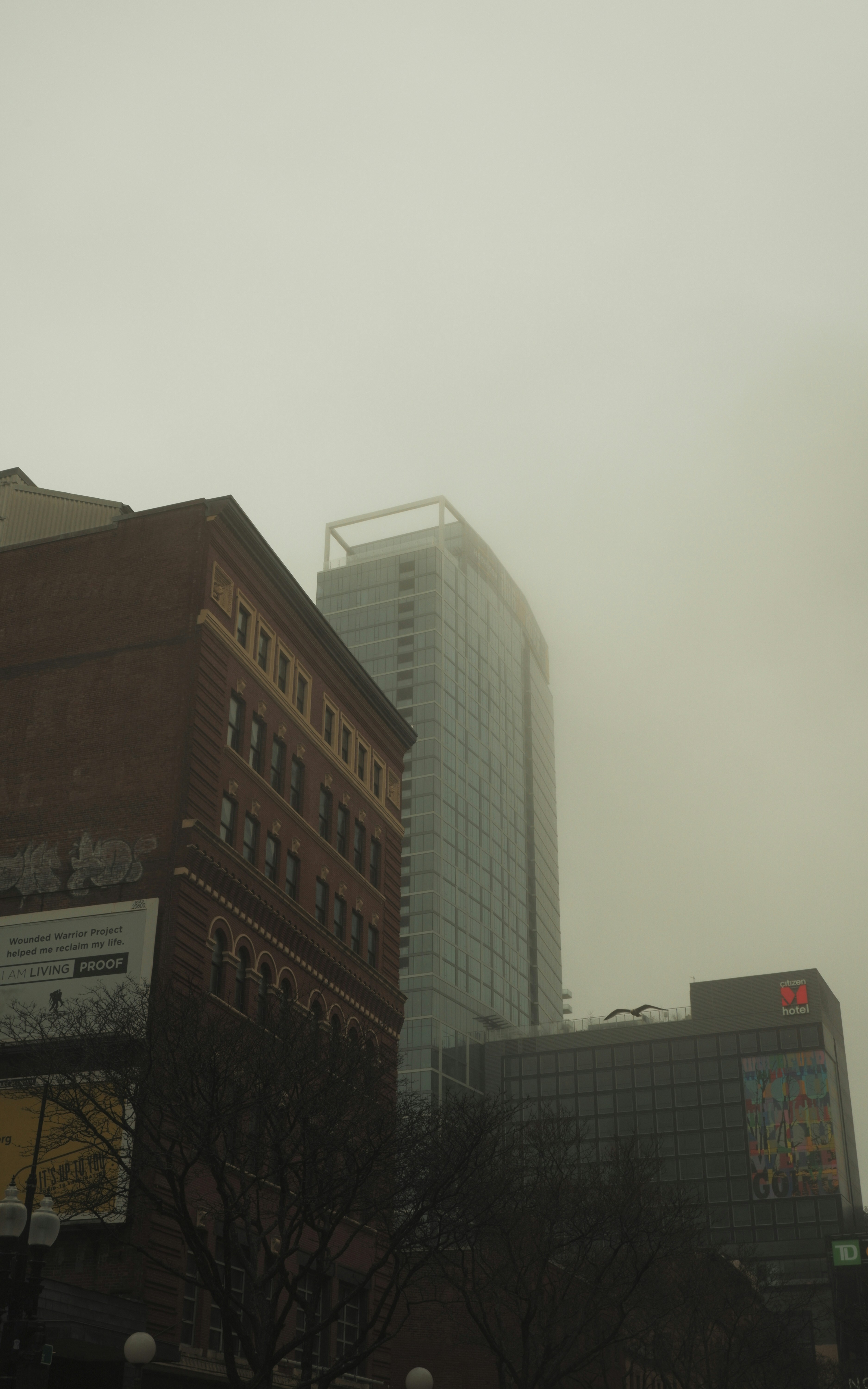 Photo by rohan_gangopadhyay