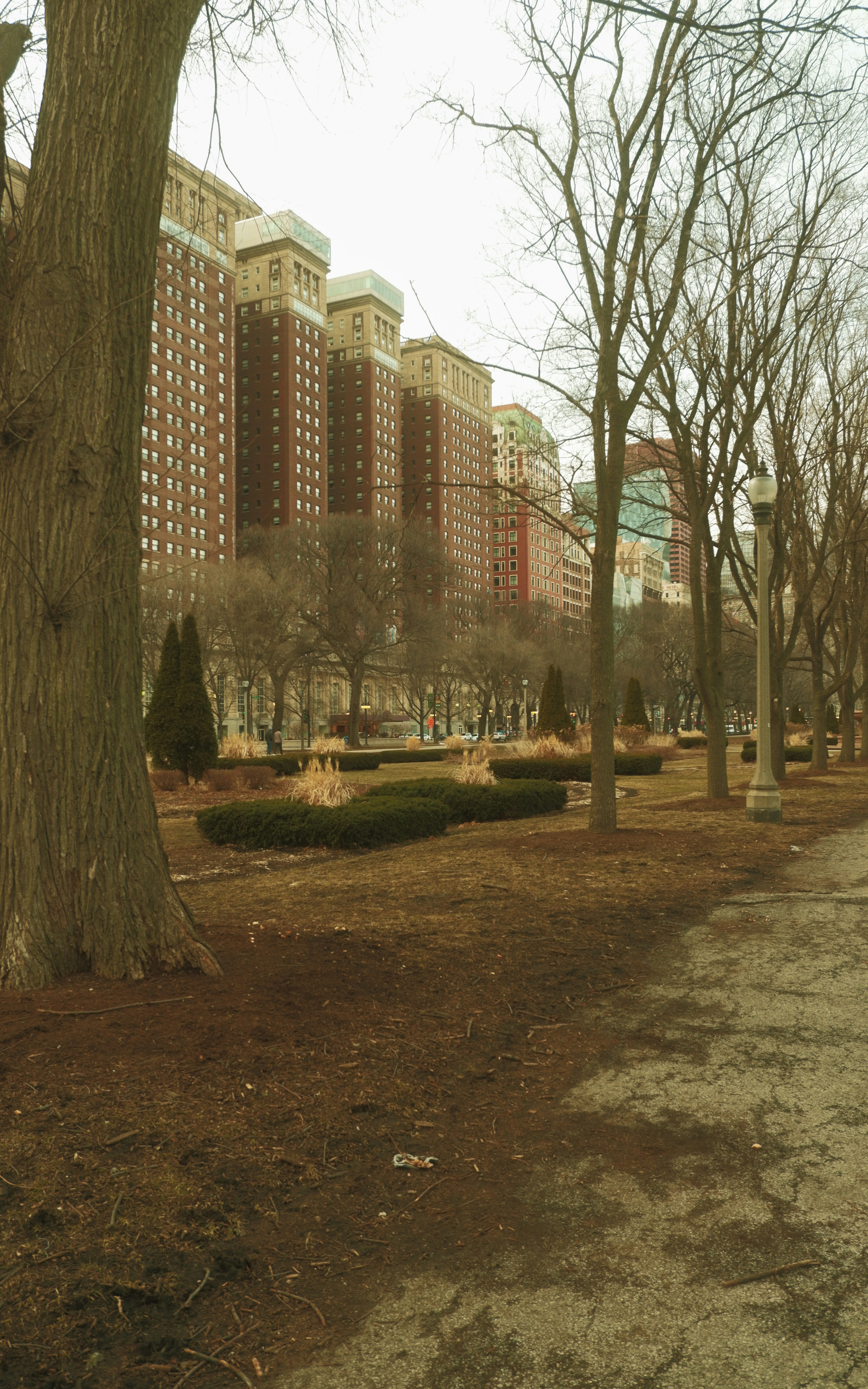 Photo by rohan_gangopadhyay