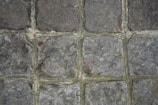 a close up of a stone wall with moss growing on it